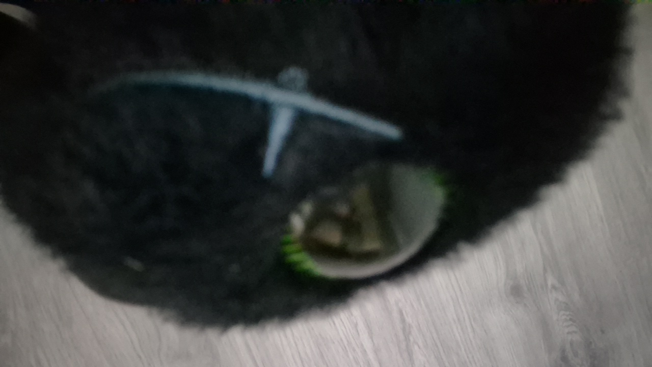 dzzWAMwic4cfwdXwIOKckGyKeZW2