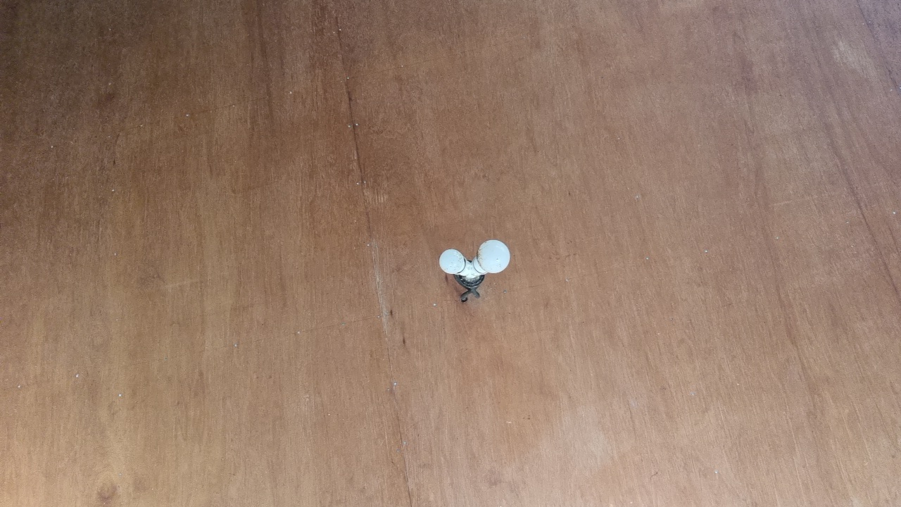 FM-5Yhsf1's profile picture