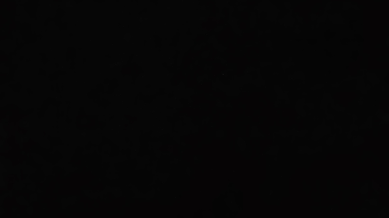 FM-nQps93's profile picture