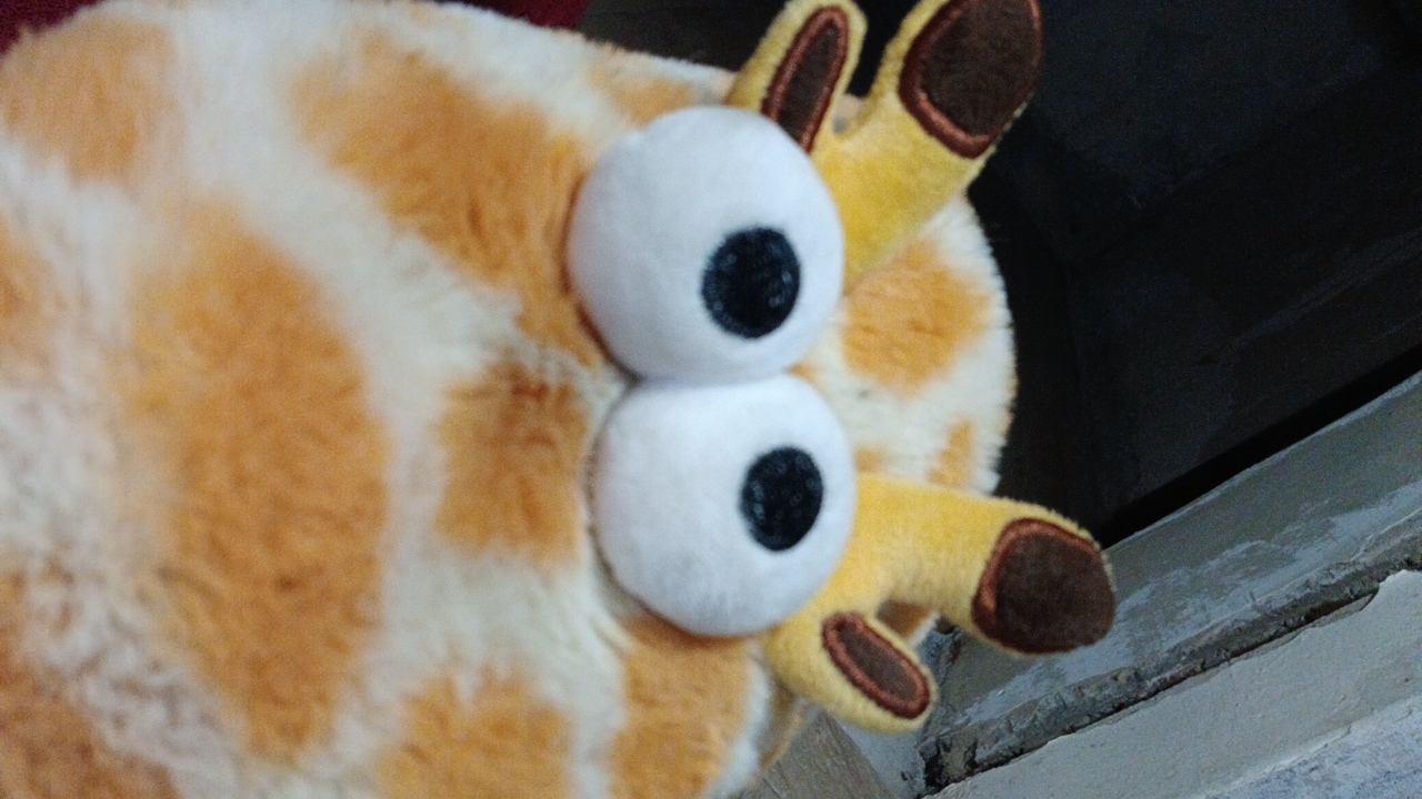 FM-Rsq8v2's profile picture