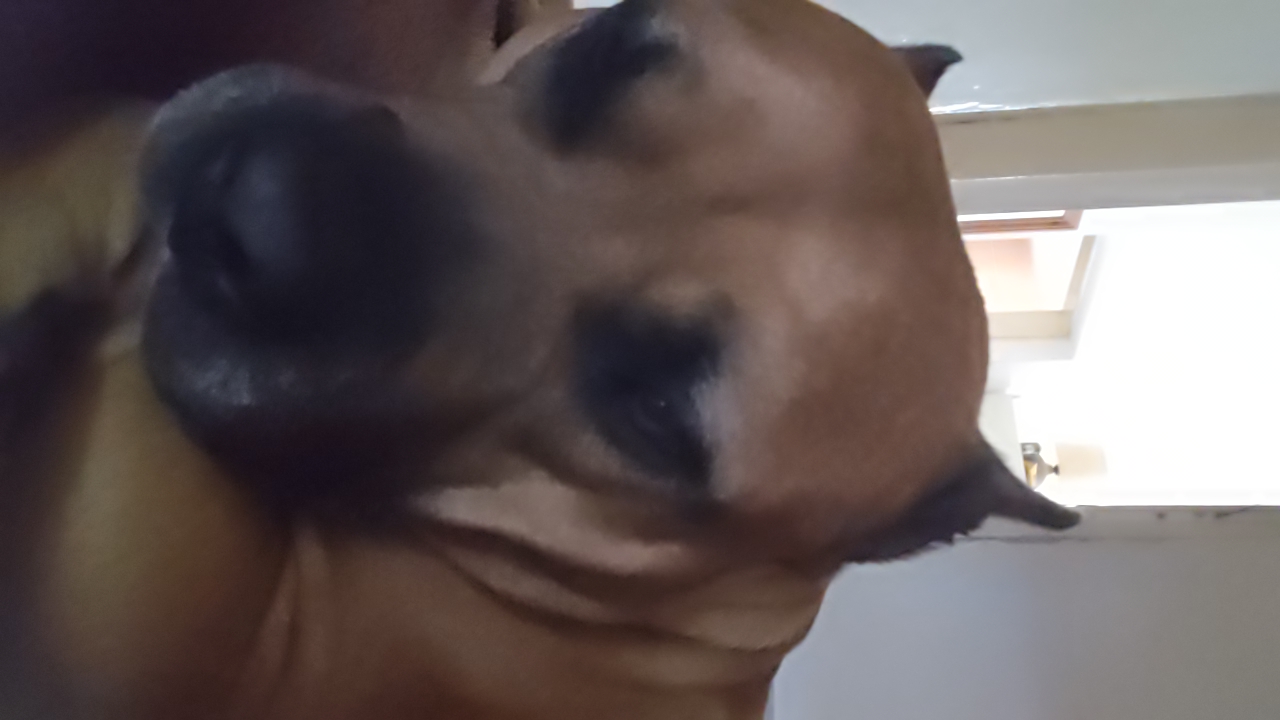 fMiZlkrCKjX4XhfEAL0VhvyXz6j1