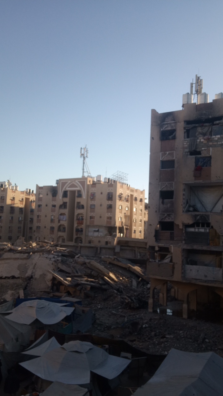 Aya's profile picture