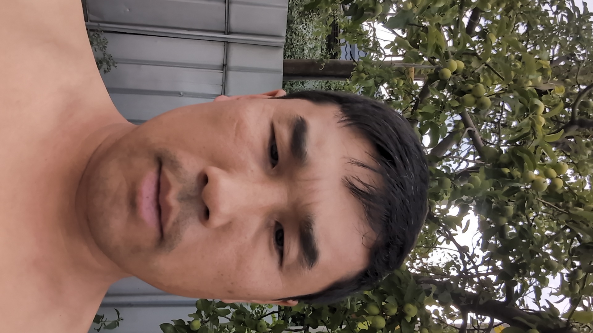iCy9OAsj1POvkll212OaqMtdOi43