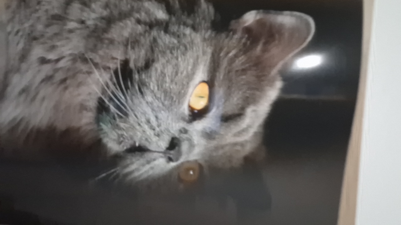 ipVJk6frgTUmXmMbZZYrGvRBmOo2