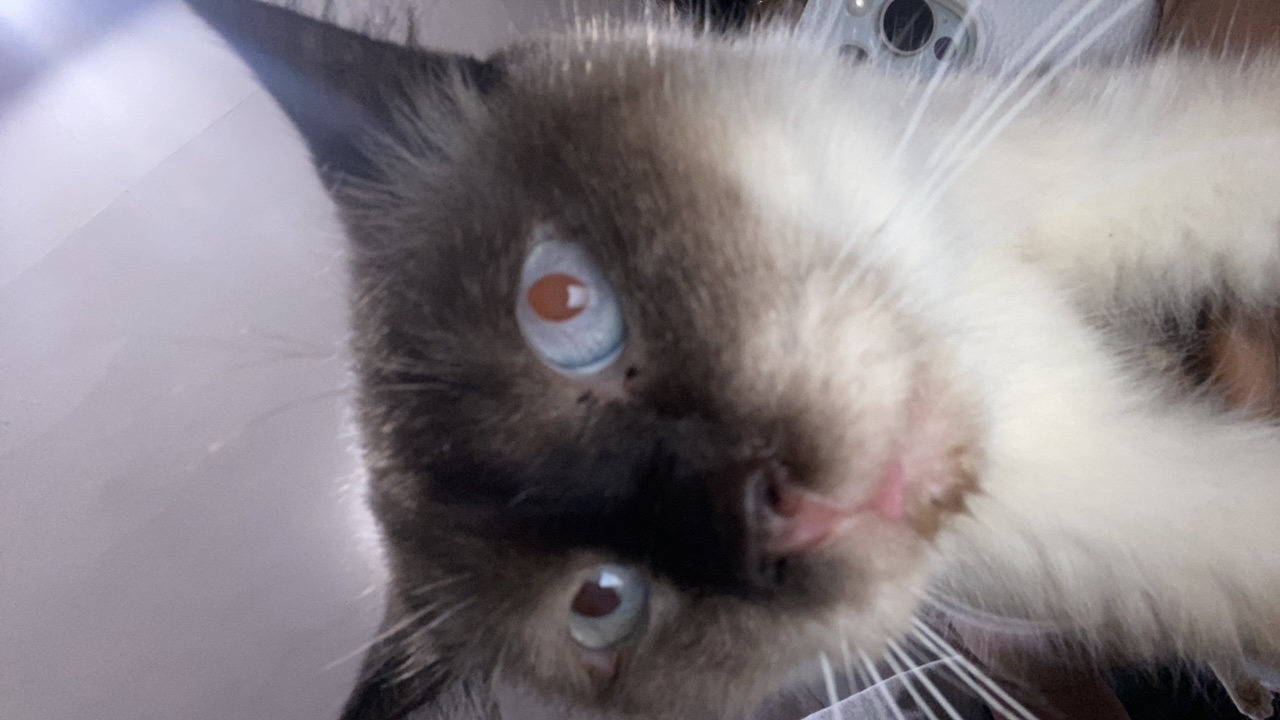 jIOsiTl6RSMLKs5yh2vnHILpn0s2