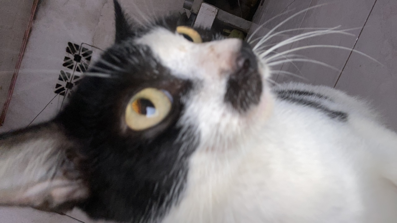 mtGlcpHR0KhStX5my4mAX9D2Fdx1