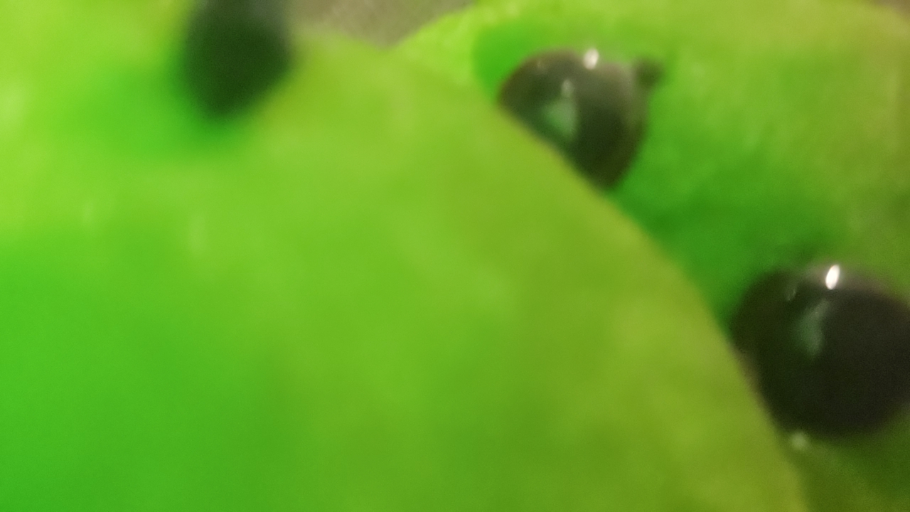 nQJPMje7BHVwbOXtjAZmWq96dD93