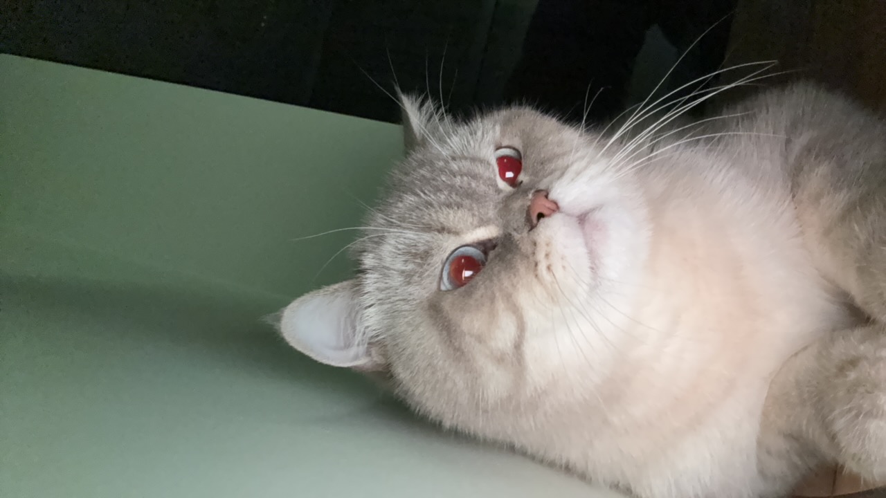 ncXncOaWBzfrqOTJHH4hPLPwGGw1