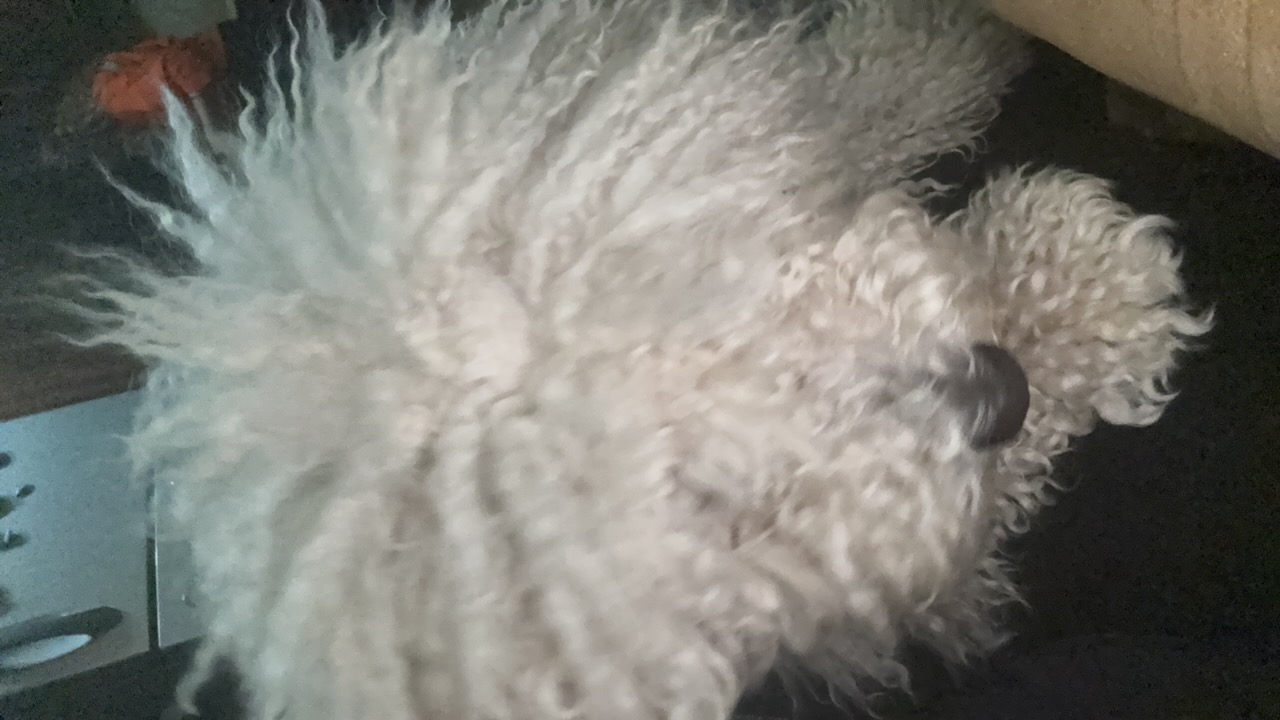 oXiplv2Aq9O6i5ei6TNOJFd0J672
