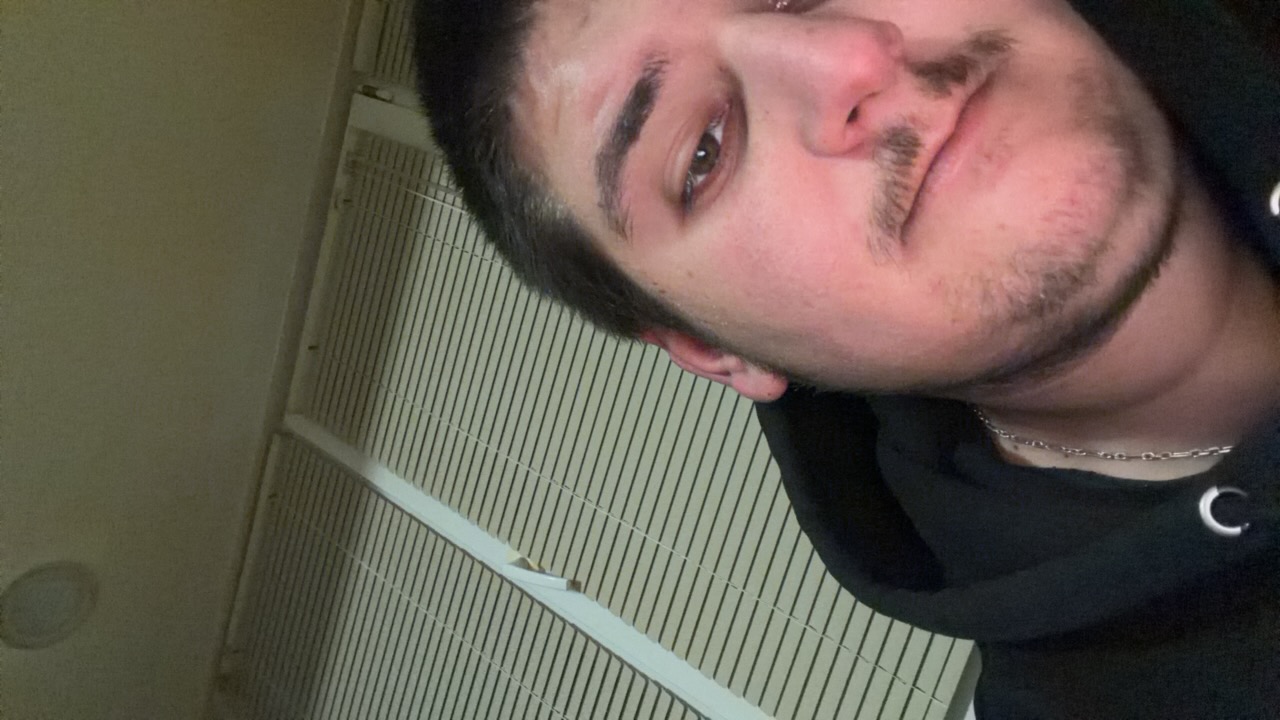 FM-NMGsK2's profile picture