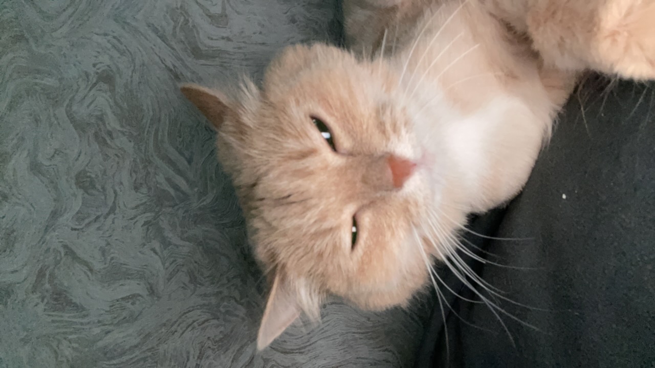 oxHIjPiwC4NzLxx6lKZjjN22Unn1