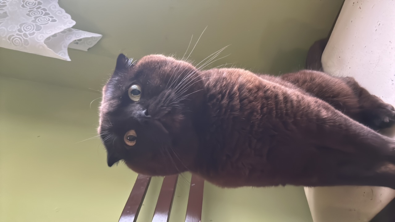 p09GxRxjdzLZNXBtyJgfwKI0OR23