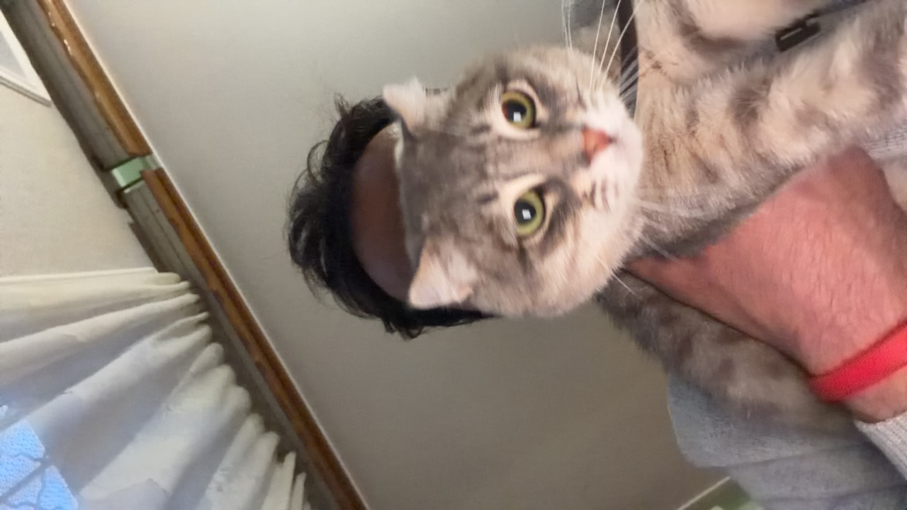sMbdc4bpR5gpFlwgwAM0GrNEdQu2