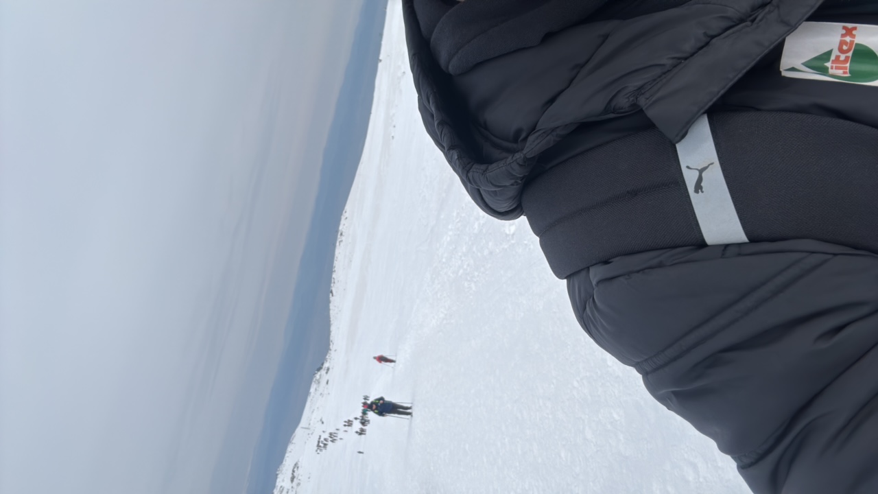 Marti_Party's profile picture