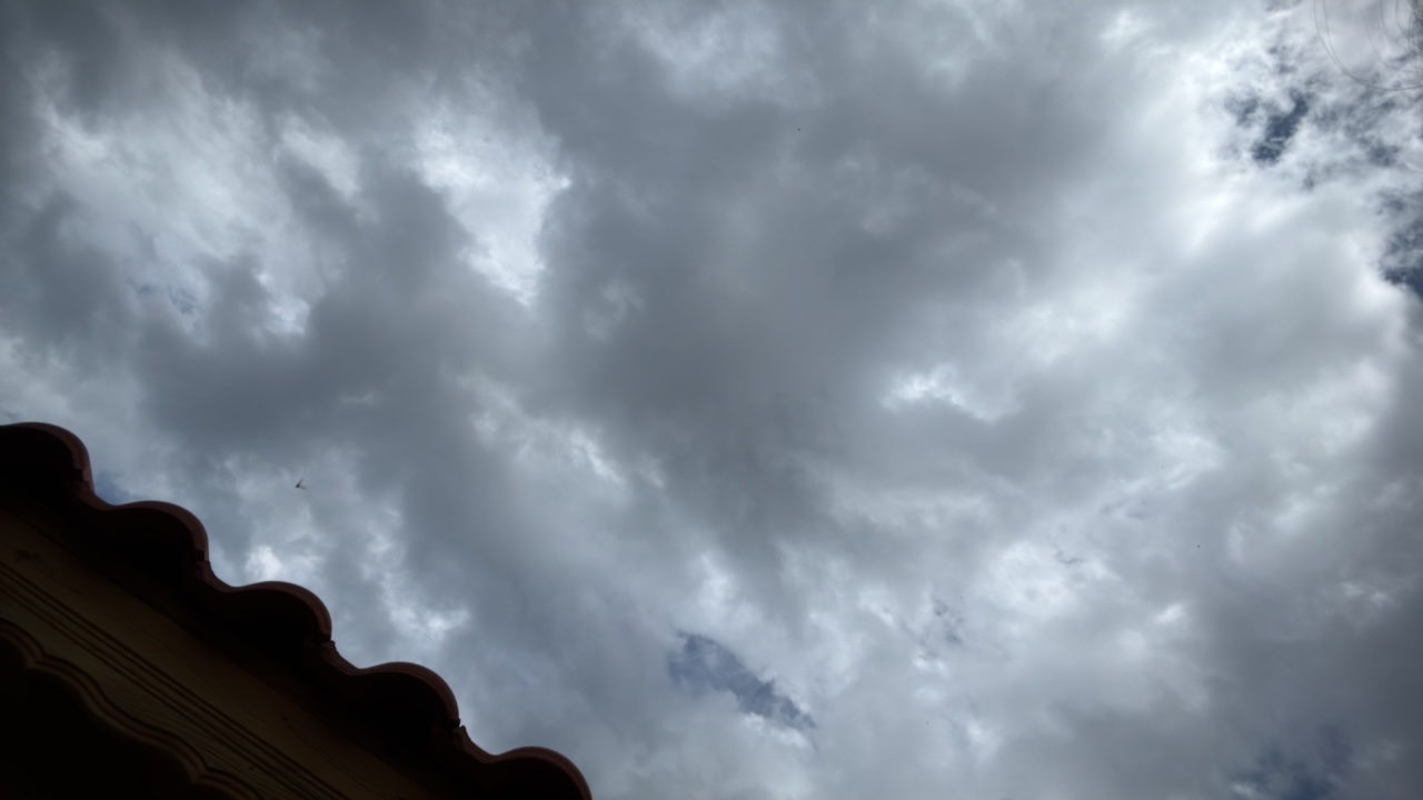 ujTEKUsi3fedFxmNl8DvG7xJUX53