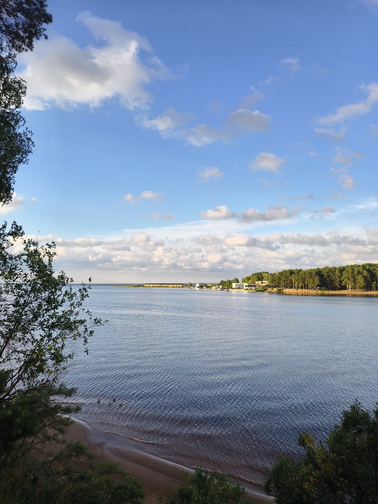A wide shot captures a serene scene of a large body of water, likely a reservoir or river, under a partly cloudy blue sky. The water's surface is calm with gentle ripples. In the distance, a tree-lined shore is visible with several buildings nestled among the trees, suggesting a developed area or a resort. Some of these buildings appear to be elongated structures, possibly with yellow accents. The foreground is dominated by lush green trees and foliage on the left and right, framing the expansive water view. On the sandy shore closest to the viewer, a small group of ducks can be seen swimming near the water's edge. The overall impression is one of tranquility and natural beauty, hinting at a location on the Kama River in Chaikovsky, Russia, given the context of the city.