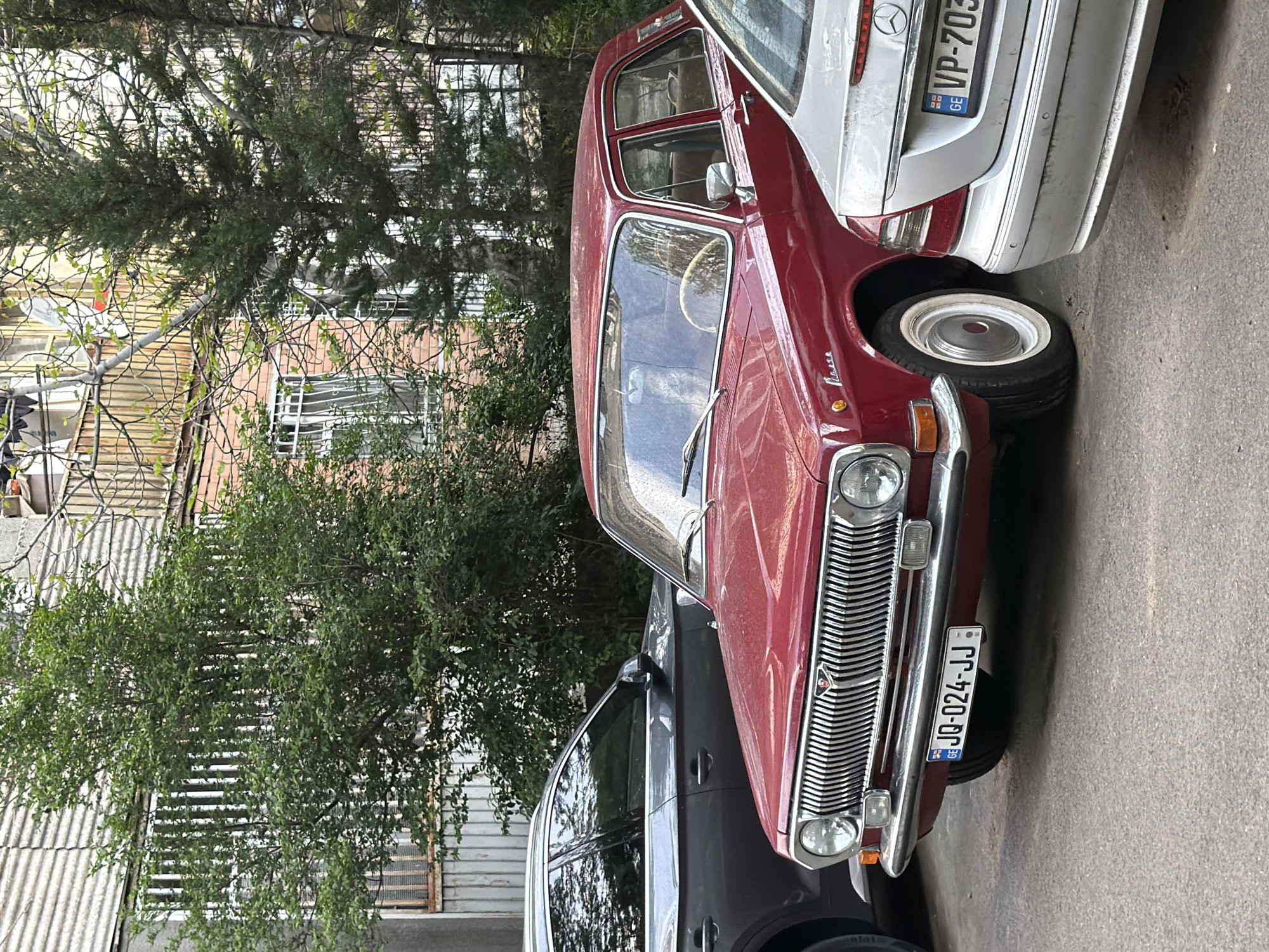The image captures a street scene in Tbilisi, Georgia, featuring several parked cars and lush greenery under natural daylight. The main subject is a classic, dark red GAZ-24 Volga sedan, positioned in the foreground and facing towards the right. It exhibits a chrome grille, round headlights, and a visible white steering wheel through its windshield. A Georgian license plate "JQ-024-JJ" with the country code "GE" is attached to its front bumper. Faint text resembling "Волга" (Volga) is visible on its side.
Behind the red Volga, the rear end of a silver Mercedes-Benz sedan is parked, showing its taillight and a partial view of its bumper. This Mercedes also bears a Georgian license plate, "VP-703," with the "GE" country code. To the left of the Volga, a dark-colored SUV is partially visible, with "Continental" tire branding discernible on its wheel.
The background is filled with various trees and shrubbery, featuring both dense green foliage and bare branches. Behind the vegetation, parts of residential buildings are visible, characterized by brick facades, windows with grilles, and corrugated metal roofs. The overall setting suggests a quiet urban or suburban street. The time of day appears to be daytime, with soft, ambient light indicating either an overcast sky or an early/late sun. No people or specific activities are depicted beyond the parking of vehicles.