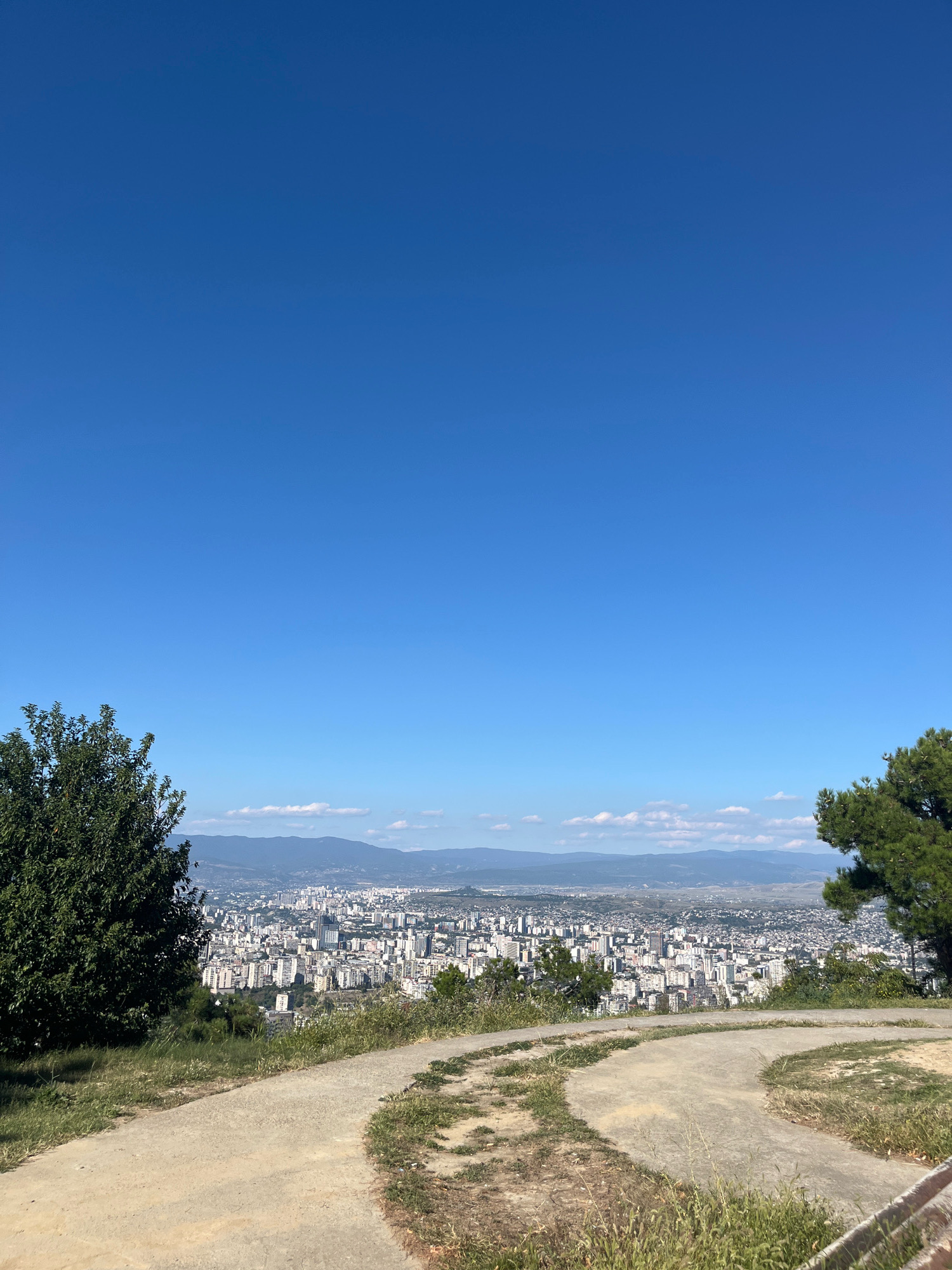 The image shows a panoramic view of Tbilisi, Georgia, from a hilltop overlooking the city. In the foreground, a paved pathway winds through dry grass and sparse vegetation, with a lush green tree on the left and a pine tree on the right. The pathway appears to be part of a park or viewpoint area.
The city of Tbilisi sprawls across the middle ground, characterized by a dense collection of apartment buildings and other urban structures. The buildings are predominantly light-colored, with many appearing to be mid-rise or high-rise. The city stretches towards the horizon, where rolling hills and mountains are visible under a clear, bright blue sky with a few scattered white clouds. The overall impression is of a sunny day, with good visibility. There are no people or animals visible in the image.