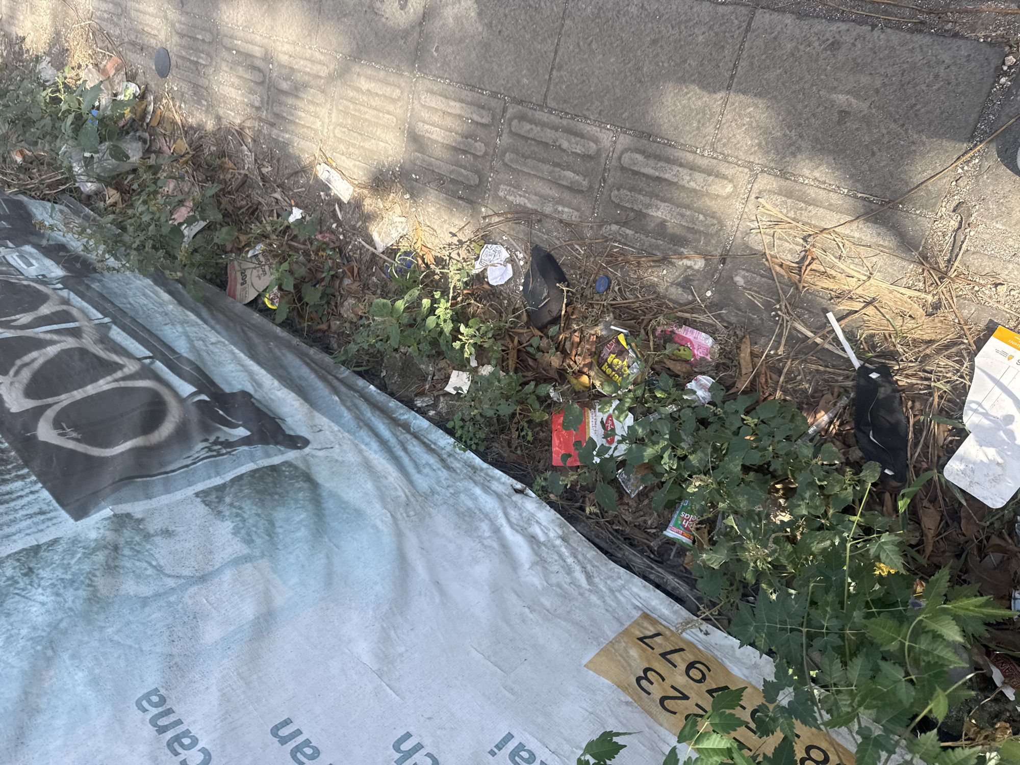 The image captures a section of a sidewalk in Kuta Selatan, Indonesia, characterized by an accumulation of litter and overgrown vegetation. A large, light-colored tarp or banner, likely serving as temporary screening or construction covering, is positioned along the left side of the scene. The banner displays partial text, including "cana," "an," "ch," and "ai," along with a yellow sign bearing the numbers "223" and "977." Graffiti is visible on the upper portion of the banner, partially obscured by its folds.
The ground adjacent to the banner is a chaotic mix of debris, including various types of trash such as plastic wrappers, bottles, and crumpled paper. Among the litter, patches of wild plants and dry grasses are growing, indicating a lack of regular maintenance. A section of a paved sidewalk, distinguished by raised tactile paving for the visually impaired, occupies the right side of the image. The sidewalk shows signs of wear and tear, with dirt and small stones scattered on its surface. The overall impression is one of neglect and urban decay.