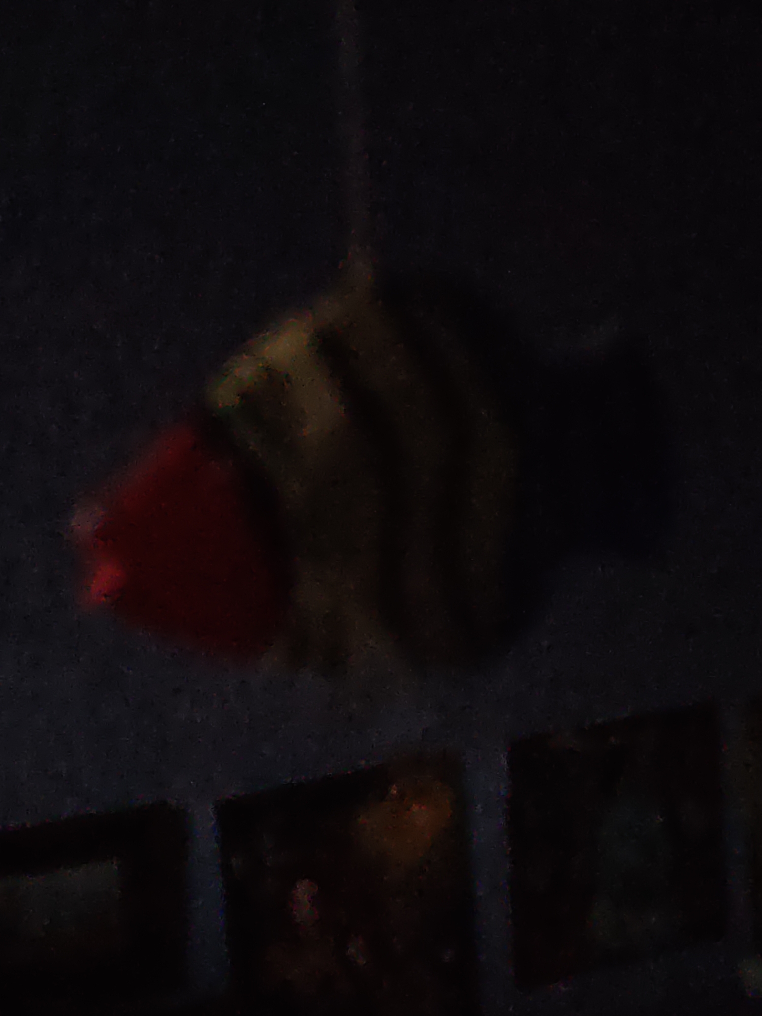 The image shows a dimly lit, possibly textured, dark gray wall in Rostov-on-Don, Russia. A decorative object, resembling a fish with red and striped yellow segments, hangs suspended in the center of the frame. Below this object, parts of other framed items, potentially pictures or artworks, are partially visible against a dark background. The overall lighting is low, creating a shadowy and indistinct atmosphere.