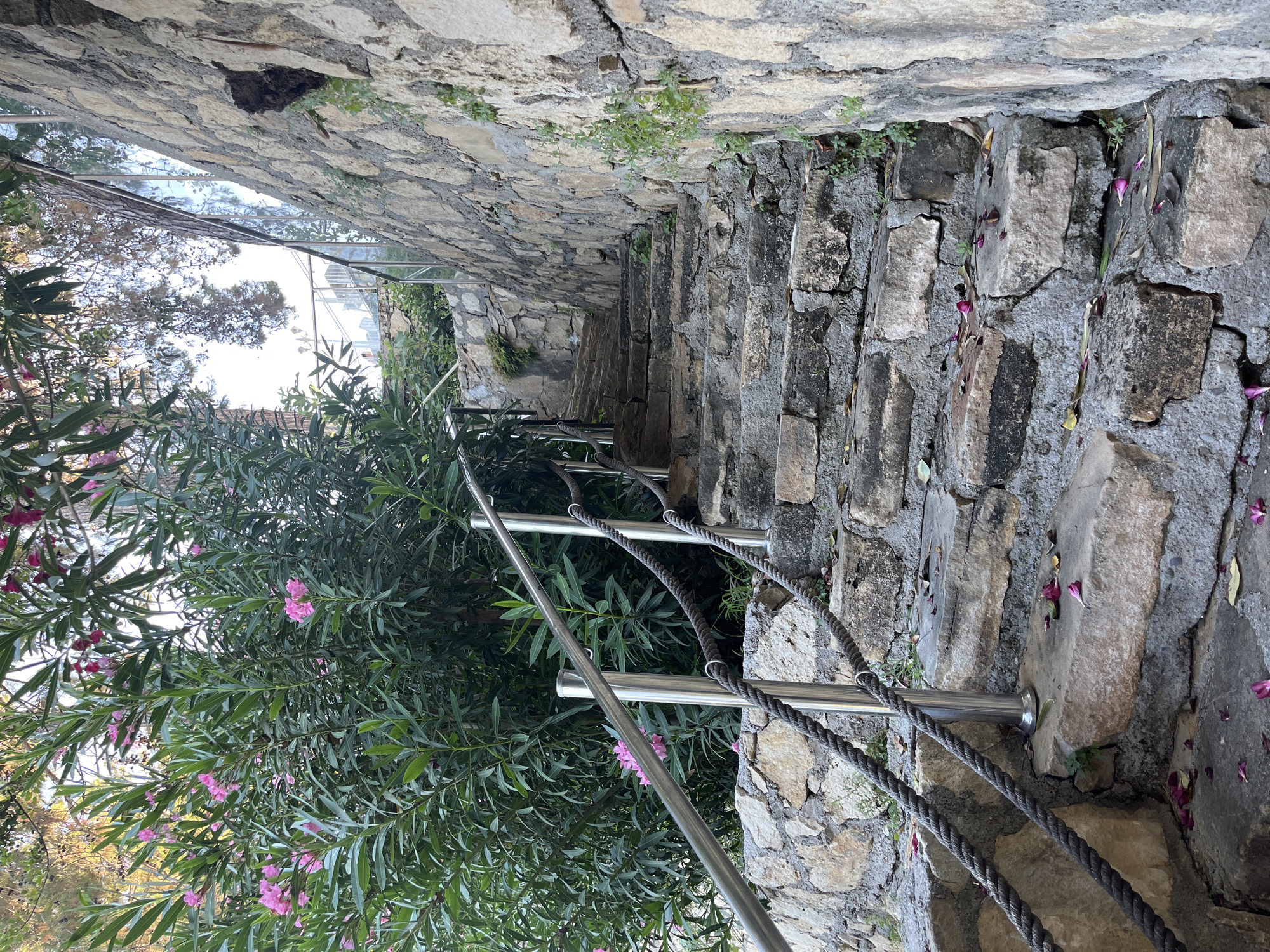 An outdoor stone staircase ascends alongside a textured stone wall, under the shade of a vibrant green bush with pink flowers. A metal railing with thick rope handrails runs along the left side of the stairs, leading upwards. The stone steps are irregular and worn, with fallen pink flower petals scattered across them. Sunlight filters through the leaves of the bush and branches of trees overhead, casting dappled light on the scene. The glass paneling of a building can be seen in the upper right corner, reflecting the sky and surrounding foliage. The environment suggests a naturalistic outdoor setting, possibly within a garden or a terraced area.