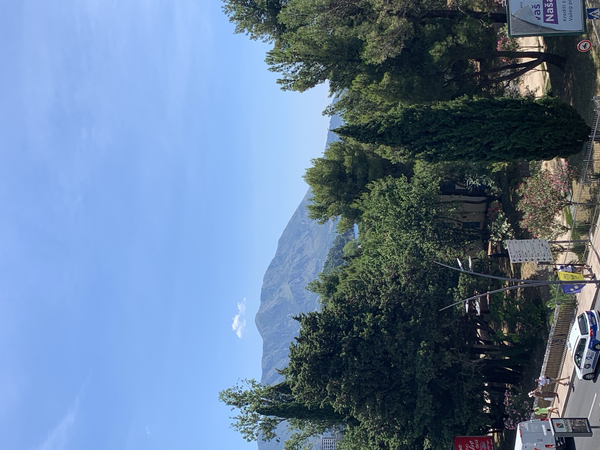 The image shows a scenic view of Budva, Montenegro, with lush green trees and majestic mountains in the background under a clear blue sky. In the foreground, a street scene unfolds with a white taxi, a white van, and pedestrians. A tall, slender evergreen tree stands prominently on the right side of the image, with a signpost beside it displaying various directional arrows and text. The overall impression is one of a vibrant coastal city surrounded by natural beauty.