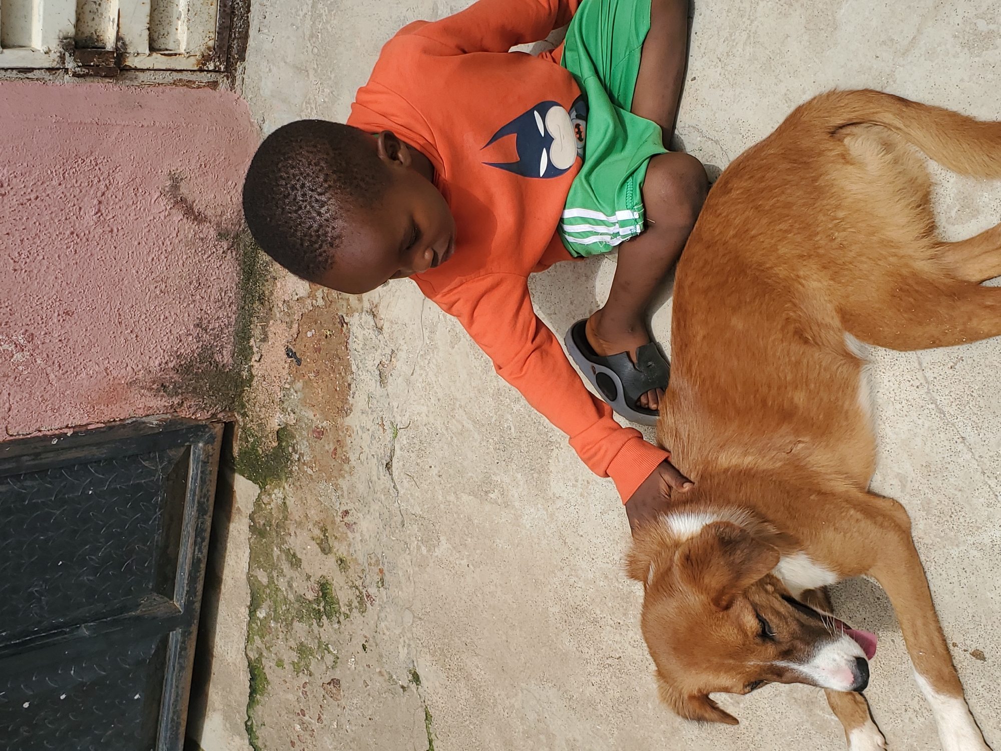 A young boy with dark skin is lying on the ground, with his left arm around a medium-sized, light brown dog. The boy is wearing an orange long-sleeved shirt with a Batman logo on it and green shorts with white stripes. He is also wearing black sandals. The dog is lying on its side with its tongue out, appearing relaxed. The ground is made of concrete and has some patches of dirt and moss. In the background, there is a pink wall and a metal gate. The scene appears to be outdoors, possibly in a courtyard or alleyway. The lighting suggests it could be daytime, and the environment does not provide clear clues about the weather. The interaction between the boy and the dog conveys a sense of companionship and comfort. There is no visible text in the image.