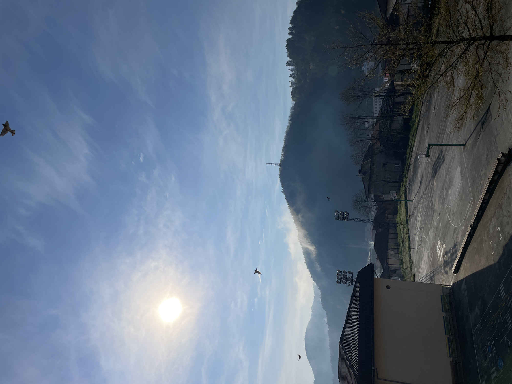 The image, taken in Zlatograd, Bulgaria, presents a vertical landscape orientation. The left side is dominated by a bright blue sky, featuring wispy white clouds and a brilliant sun near the center-left, creating lens flare. Several birds are in flight across the sky, with one prominent bird in the upper left and another smaller one closer to the sun.
The right side of the image reveals a dramatic, dark, tree-covered mountain range, shrouded in a soft atmospheric haze that partially obscures its base. A slender communication tower is visible on one of the mountain peaks.
In the mid-ground and foreground towards the bottom right, an outdoor asphalt sports court with painted lines and a basketball hoop is visible. Adjacent to the court are two sets of tall floodlights on poles, suggesting nighttime use. A light-colored building with a dark, sloped roof occupies the bottom-center and foreground. Other residential-style buildings with dark roofs and light walls are discernible further back, nestled against the mountainside. Bare-branched trees, some with sparse foliage hinting at early spring, are scattered throughout the scene. The overall impression is one of a peaceful, sunlit daytime view with no specific activity taking place. No visible text is present.