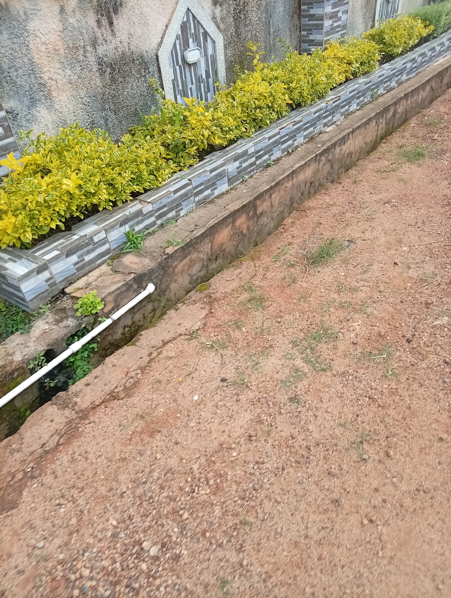 The image depicts an outdoor scene in Bukuru, Nigeria, featuring a drainage channel alongside a wall adorned with decorative tiles and yellow-leafed bushes. The drainage channel, made of concrete, contains a white pipe running along its bottom. The ground is covered in reddish-brown soil and small pebbles, with sparse patches of green grass. The wall displays a textured surface and a patterned tile design, with a white light fixture mounted on one section. The overall environment suggests an urban or semi-urban setting.
