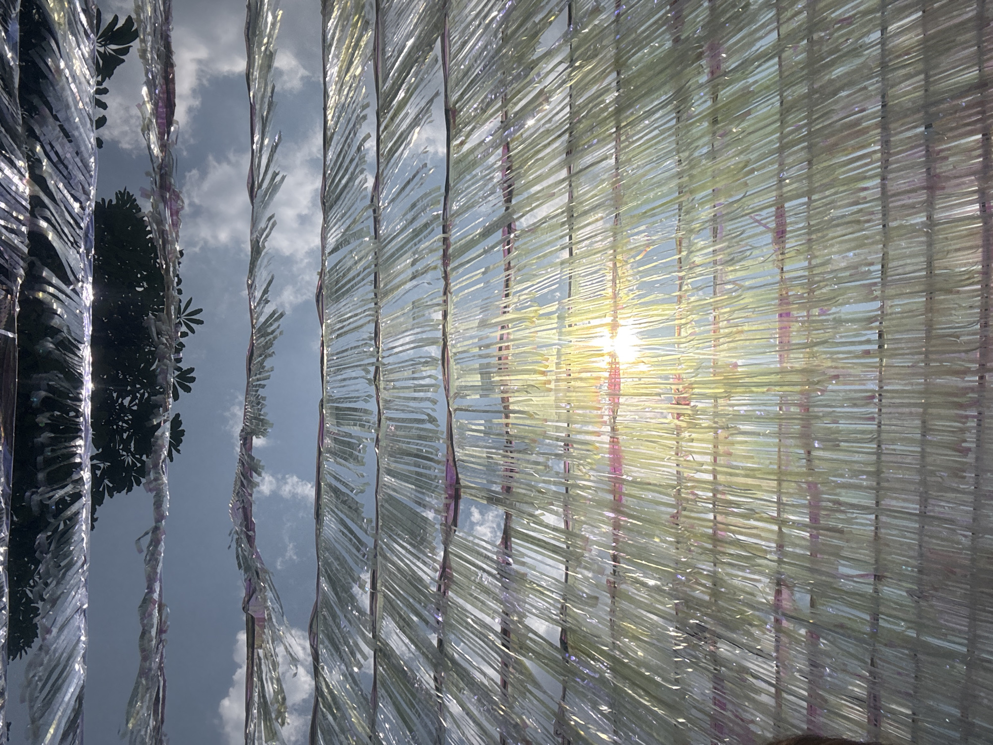 The image captures an upward view through a dense, vertical arrangement of numerous translucent and shimmering strips, likely made of plastic or iridescent material, under bright daylight. These strips form a semi-transparent screen or curtain, with individual strands hanging vertically, appearing somewhat twisted and creating varied reflections.
Behind the hanging strips, a clear blue sky with scattered white clouds is visible. To the right, the bright sun shines directly through the strips, creating a strong lens flare and a prominent yellow and orange glow that illuminates the surrounding strips, highlighting their iridescent qualities. The strips on the right, closest to the sun, appear lighter and more brightly lit, with hints of pink and purple. On the far left side of the image, dark silhouettes of tree foliage and branches are visible against the sky, peeking through the gaps between some of the strips. The strips on the left side appear darker and more silvery, reflecting the sky rather than transmitting direct sunlight.
There are no people or specific activities taking place. The scene is an outdoor setting, likely an art installation or decorative element, observed during a sunny daytime. The overall impression is bright, ethereal, and sparkling due to the interaction of light with the shimmering materials. No visible text is present in the image. The location is Choeng Thale, Thailand.