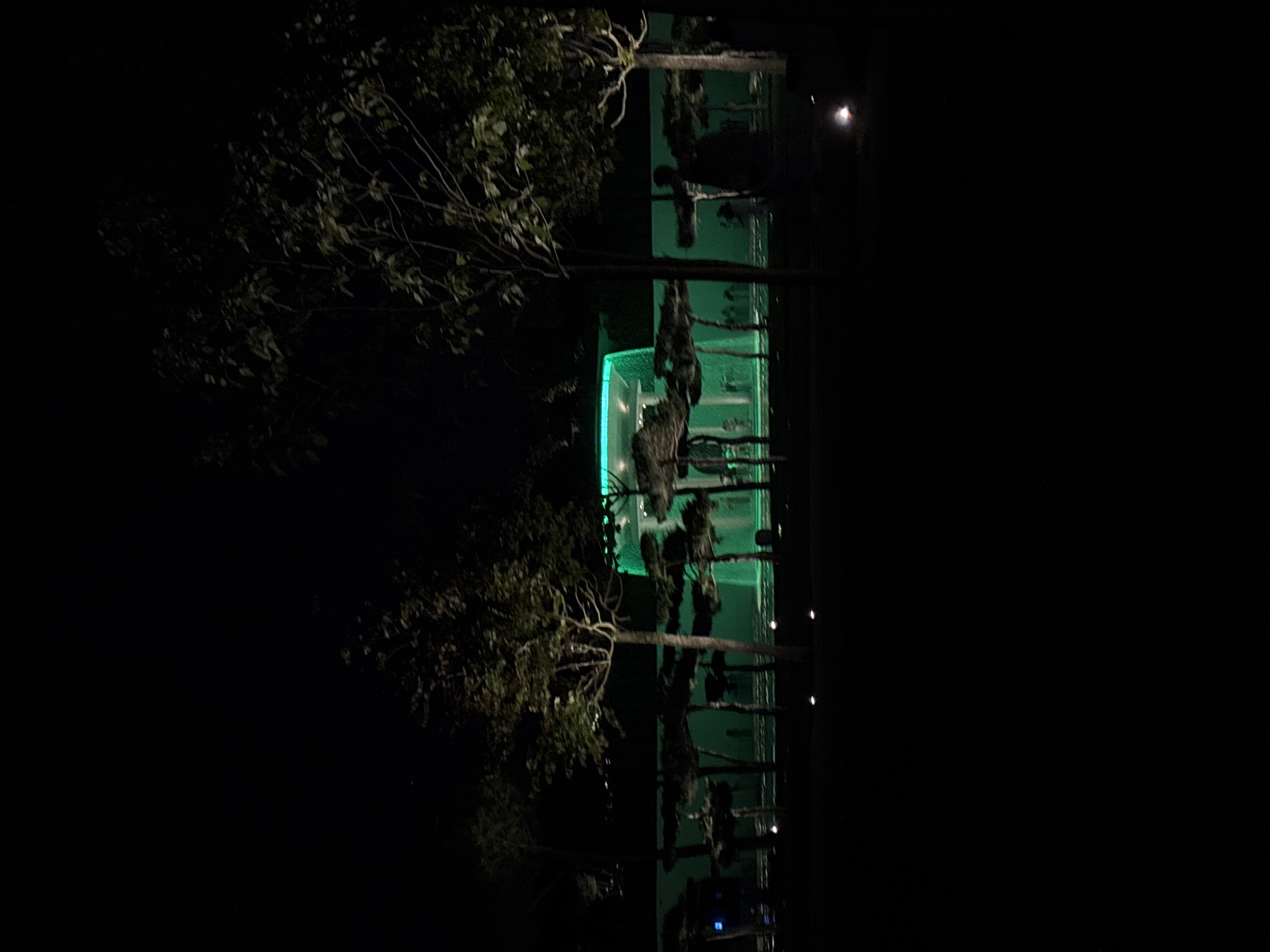 The image shows a nighttime view of a park with a large, illuminated green structure in the background, possibly a fountain or a modern architectural element. Several trees with dark foliage are scattered throughout the foreground and midground, with some smaller, sculpted trees lining the path. Small, subtle lights are visible on the ground, illuminating the pathway. In the midground, on the right side, two silhouetted figures can be seen standing near a tree. The overall scene is dark, with the green illumination from the background structure being the primary light source. The location is the "Park of the First Forest" in Krasnodar, Russia.