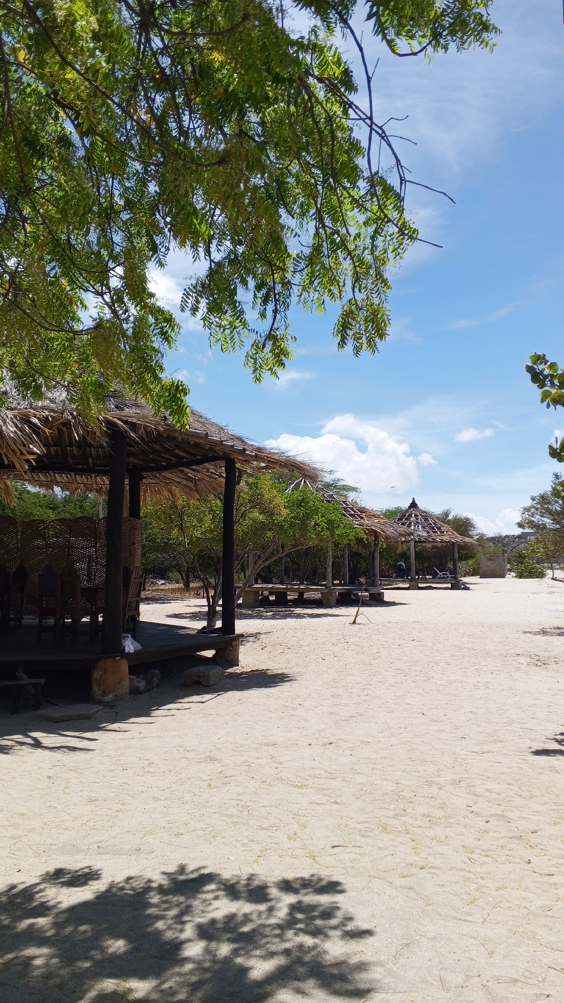 The image depicts a sandy beach scene under a partly cloudy sky, where several thatched-roof structures line the shore. The structures appear to be cabanas or shaded seating areas. The foreground is dominated by the beige sand of the beach, with tree shadows scattered across it. A tree with green foliage hangs over the scene from the upper left. The location is a beach. The scene appears to be deserted, with no people visible in the frame.
