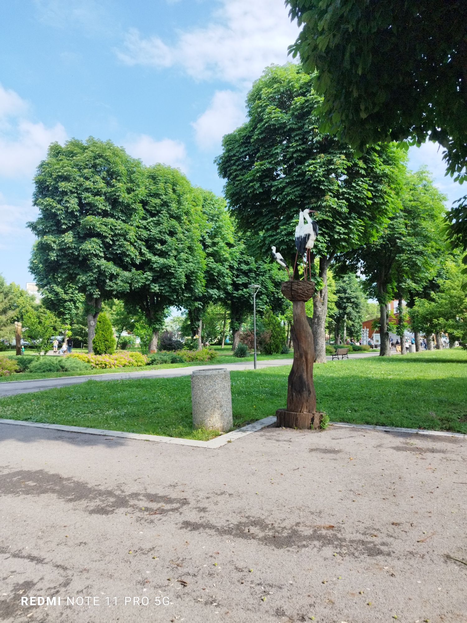 This image depicts a sunlit urban park in Elin Pelin, Bulgaria, characterized by extensive green spaces and mature trees under a partially cloudy blue sky.
In the immediate foreground, an asphalt pathway occupies the lower portion of the frame, showing patches of dampness or staining and scattered small debris such as leaves and seeds. A light grey concrete curb delineates the pathway from a manicured grassy area to the right. Centered in the mid-foreground, a cylindrical concrete trash receptacle stands on the edge of the path. To its left, slightly further back, is a carved wooden sculpture. This sculpture features a dark, roughly textured tree trunk base supporting a nest containing two storks. The storks are primarily white with prominent black markings on their wings and reddish beaks and legs. One stork is larger and stands upright, while a smaller stork is positioned to its left.
The midground showcases a lush park environment. Multiple large deciduous trees with dense, green canopies dominate, some casting shadows across the ground. Between the trees, areas of vibrant green grass are visible, along with various smaller shrubs and evergreen plants. A paved path, presumably a continuation of the foreground path, extends into the distance. Several indistinct figures of people are visible further back along this path, some appearing to be walking, while others may be seated on park benches visible beneath the trees. A dark-poled street light fixture is positioned to the left of the stork sculpture. Portions of a light-colored building are discernible through the foliage in the far midground on the right.
The background consists of a bright blue sky with scattered white cumulus clouds, visible above the tall tree line. Further distant trees and what appear to be more urban structures are faintly visible in the far background. The lighting suggests a clear, sunny daytime. A "REDMI NOTE 11 PRO 5G" watermark is present in the bottom left corner of the image.