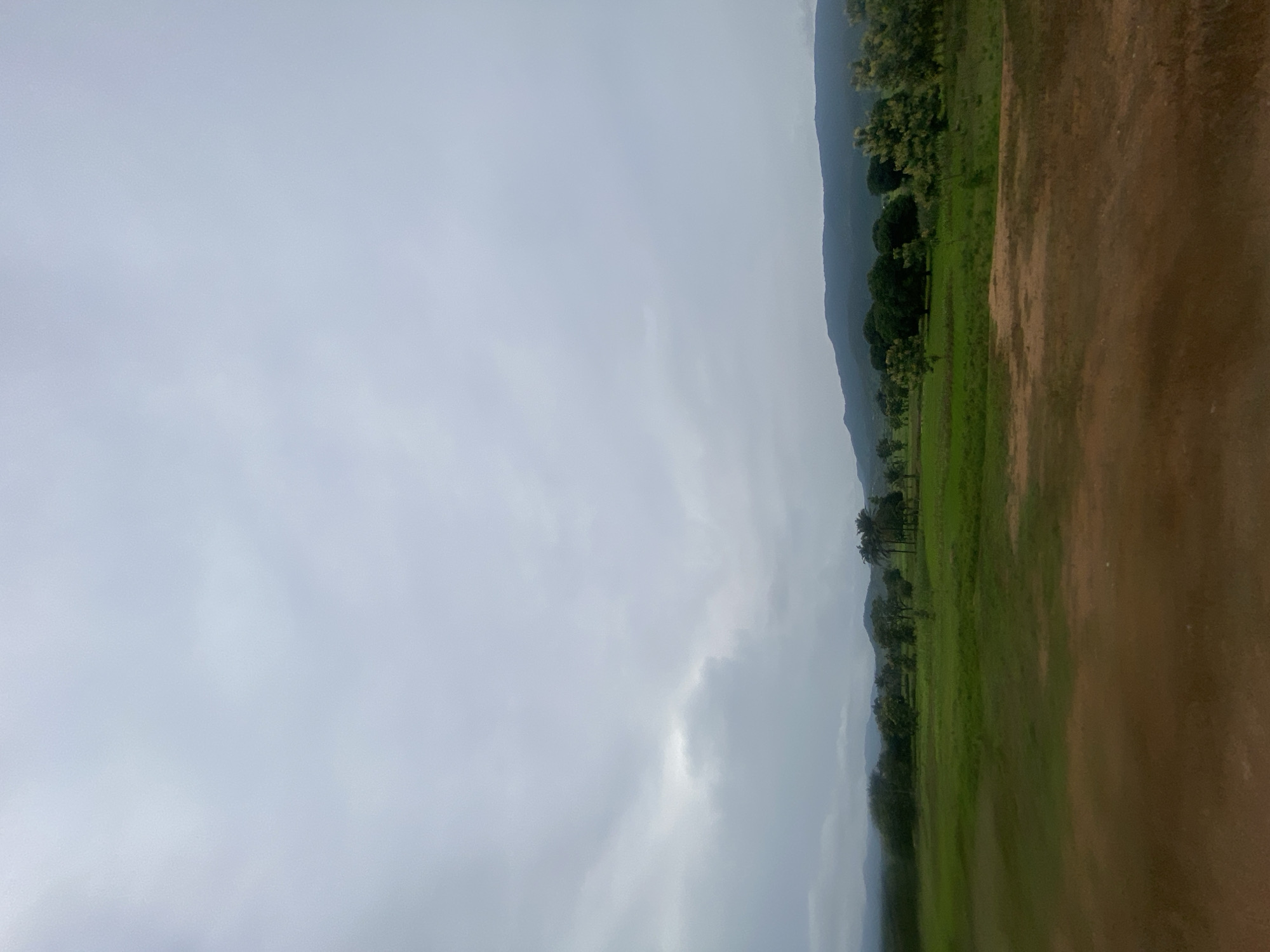 A wide shot of a rural landscape in Aboro, Nigeria shows rolling green fields leading to a line of trees and distant mountains under a heavily overcast sky. In the foreground, a patch of reddish-brown dirt contrasts with the vibrant green of the fields. A variety of trees, some tall and thin with palm-like fronds and others broader and denser, are scattered throughout the middle ground. The overall atmosphere is subdued and slightly muted, typical of a cloudy day.