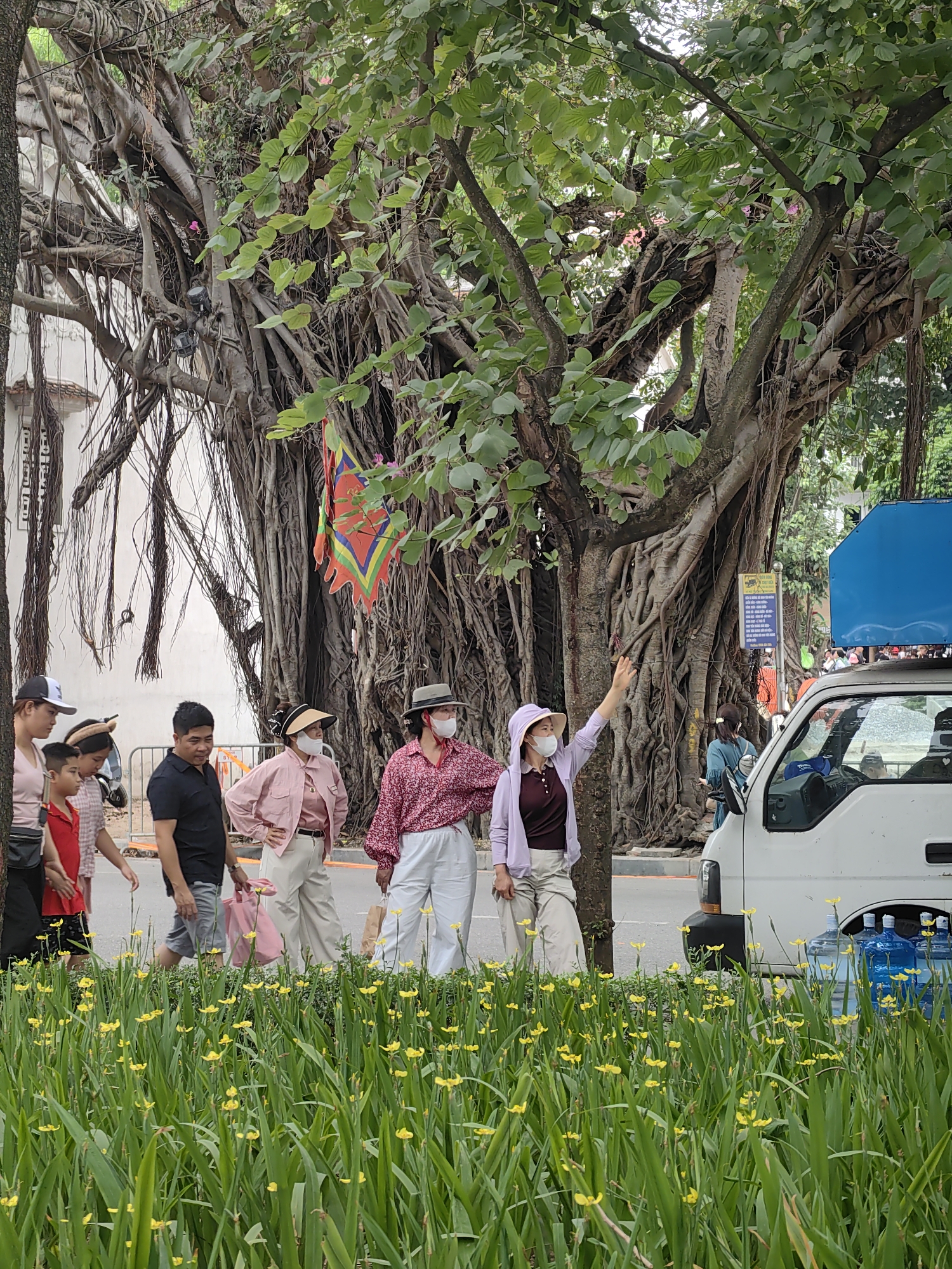 The image captures a scene on a street in Hà Nội, Vietnam. A group of people are walking along the sidewalk, with some individuals wearing face masks. A large, mature banyan tree with extensive aerial roots forms a backdrop to the scene. A flag is attached to the tree. Yellow flowers are planted in the foreground, adding color to the environment. A parked white truck is visible to the right.