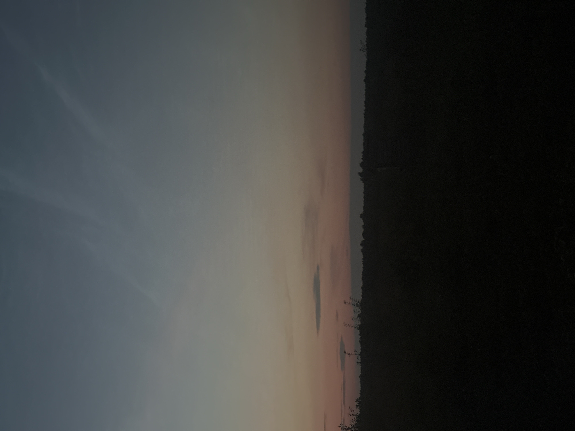 The image depicts a dark, silhouetted landscape against a dusky sky. The horizon line is marked by a dense, low-lying line of trees or bushes, almost entirely blacked out. Above this dark band, the sky transitions from a pale, warm peach and pink hue near the horizon to a deep, muted blue at the top of the frame. Thin, wispy clouds are faintly visible in the upper portion of the sky, appearing as pale streaks. The overall impression is of a tranquil, twilight scene, likely taken in an open field or rural area. The specific location within Kharnavy, Russia, cannot be determined from the visual information alone.