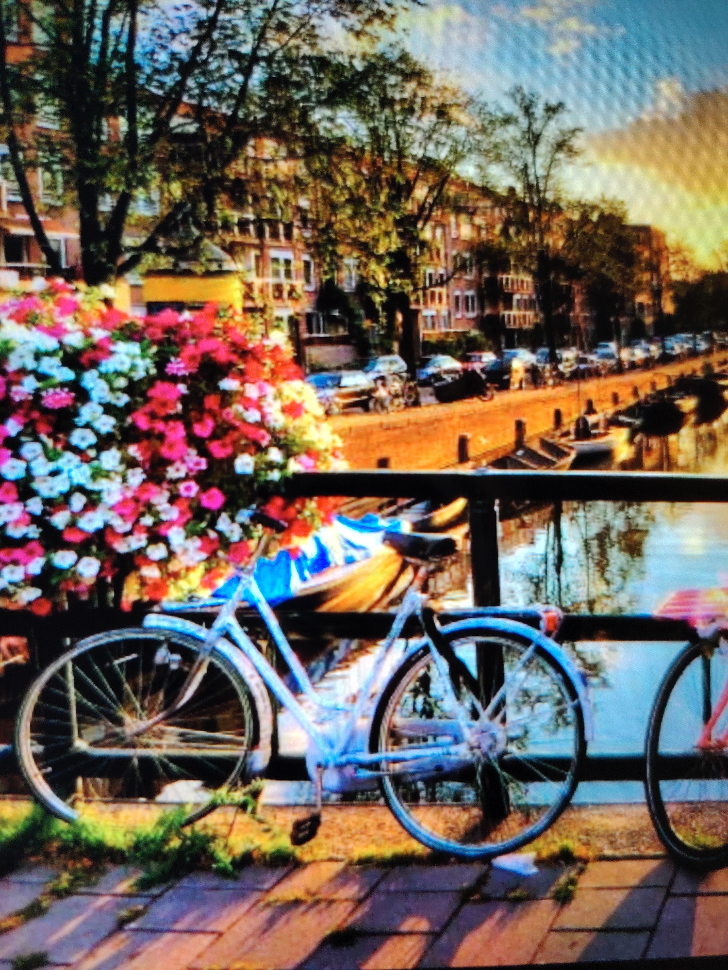 The image depicts a picturesque canal scene, likely in Amsterdam, given the presence of Dutch-style buildings lining the waterway and moored boats. Two bicycles are parked on a brick pathway beside the canal, adorned with a vibrant cascade of pink, white, and red flowers. The sun is setting, casting a warm, golden glow on the scene and highlighting the reflections on the water. The architecture suggests a European city, characterized by tall, narrow buildings with multiple windows and pitched roofs. The atmosphere is serene and tranquil, evoking a sense of romantic charm. The location is not Balashikha, Russia.