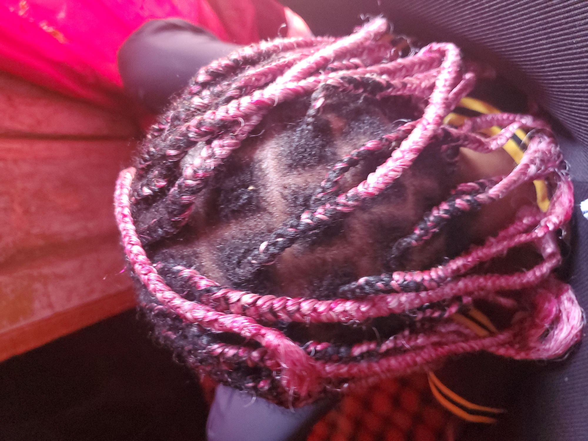 The image shows a close-up view of a person's head with braided hair. The braids are a mix of black and pink strands, tightly woven together. The person's scalp is visible between the braids, showing dark hair. The background is blurred, but appears to include some fabric in bright pink and dark purple hues, along with some yellow and black striped material. The scene seems to be indoors, possibly a home setting, given the soft lighting and casual arrangement of fabrics. There is no text visible in the image. The focus is entirely on the hairstyle, highlighting the texture and color of the braids. The overall impression is one of a person with a distinctive and well-maintained hairstyle.