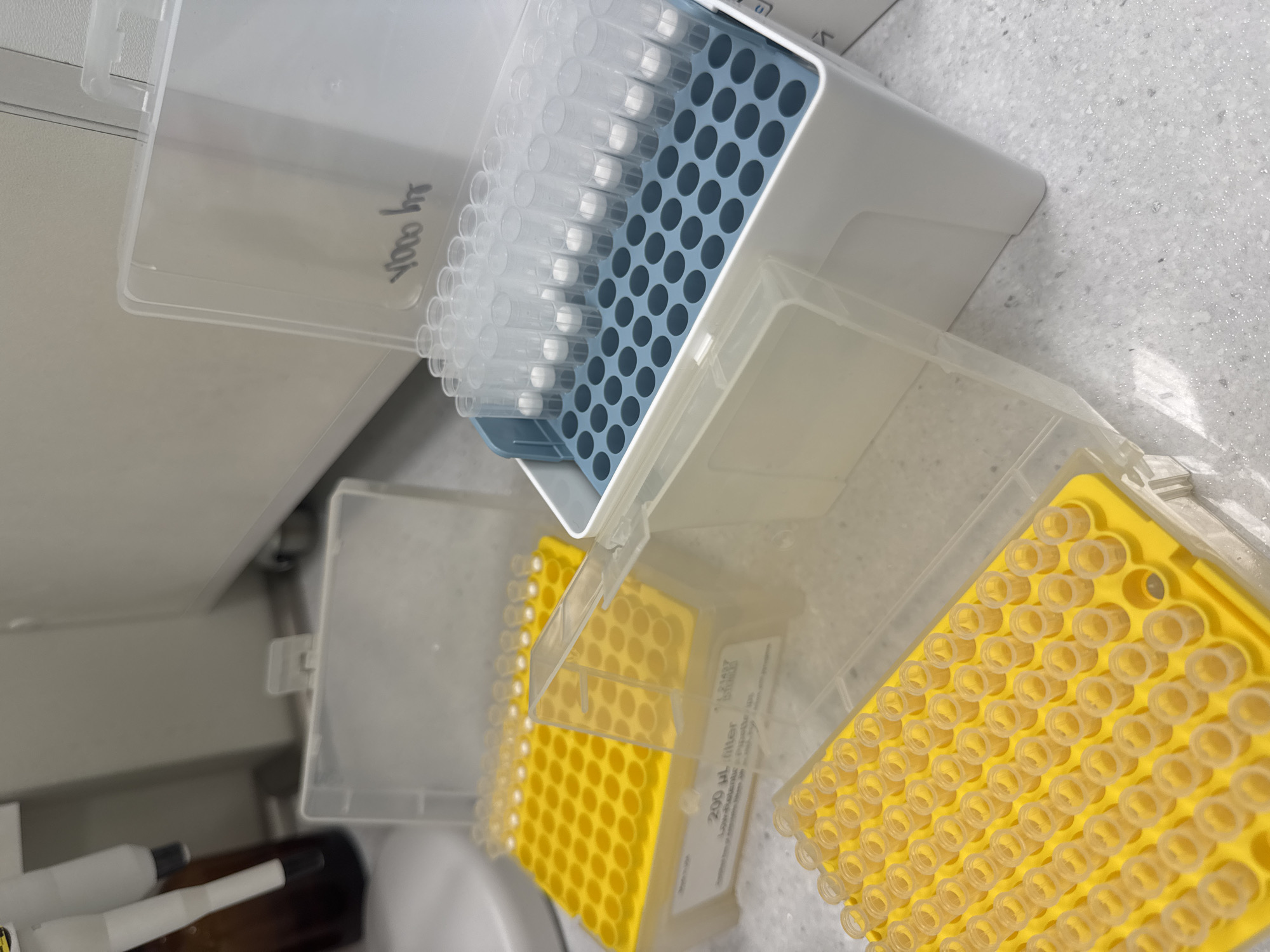 The image displays a close-up, angled view of laboratory equipment, specifically pipette tip boxes, set on a light-colored, possibly speckled, countertop. There are three main pipette tip boxes visible, all made of clear plastic with hinged lids.
In the upper part of the image, a white or light gray box contains a blue rack filled with clear, unused pipette tips. On the translucent lid of this box, there is handwritten text, appearing upside down and somewhat mirrored, which is difficult to decipher but looks like "yoooy hy" or similar.
Below and to the right of the first box, two yellow pipette tip racks are housed in clear plastic boxes. One of these yellow racks is mostly full of clear, transparent pipette tips. The other yellow rack, positioned further to the right, has many empty slots, indicating that tips have been removed, with only some tips remaining and one distinct black circular mark in an empty slot. On the side of one of the yellow boxes, a label is partially visible, showing "200 µL filter" and other indistinct product information.
In the bottom left corner, part of a brown bottle and what appear to be two white laboratory pens or tools are partially visible. The scene suggests a laboratory or scientific workspace, with no direct human activity taking place. The lighting is bright and even.