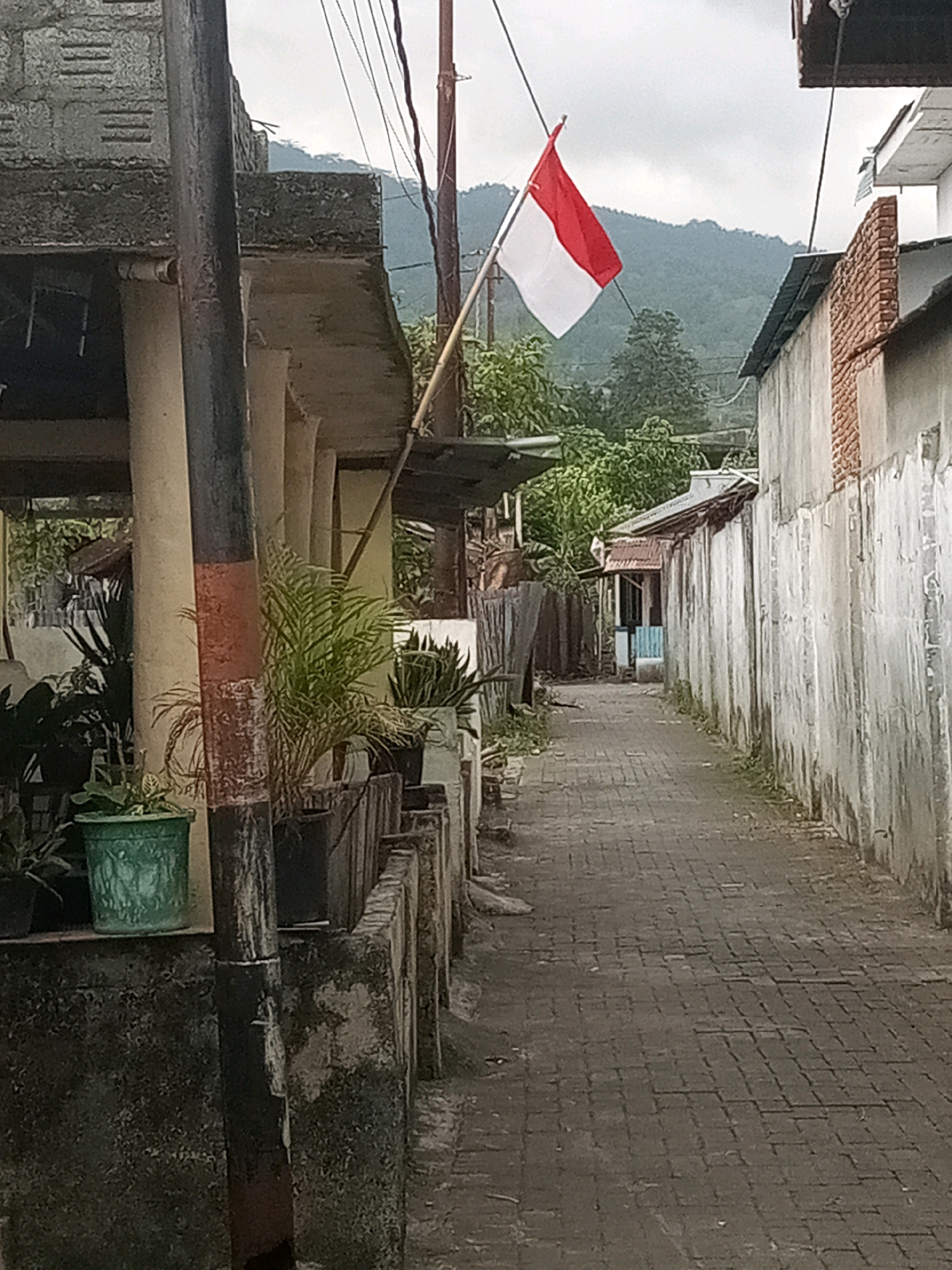 The image captures a narrow alleyway in Bitung, Indonesia. The overcast sky suggests a cloudy day. On the left side of the alley, a building with concrete pillars and an overhang is visible, with several potted plants situated along a low wall. A black and red striped pole stands prominently in the foreground.
The alley itself is paved with dark interlocking bricks and stretches into the distance. On the right side, a tall, light-colored concrete wall runs along the alley, with some signs of wear and tear. Further down the alley, a smaller building with a blue door is partially visible. A red and white Indonesian flag is flying from a pole in the middle ground, silhouetted against a backdrop of lush green trees and hills. The overall impression is of a quiet, perhaps residential, street scene.