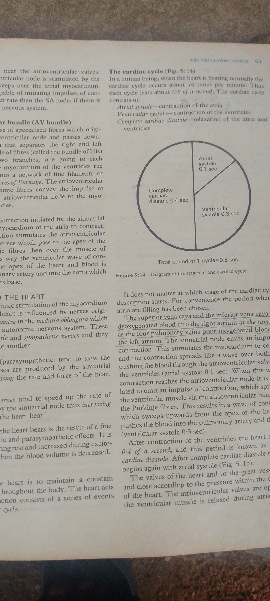 The image is a scanned page from a biology textbook discussing the human circulatory system, specifically focusing on the cardiac cycle. There are no people or discernible scenes from Nigeria present. The primary content consists of text explaining physiological processes and a diagram illustrating the stages of a cardiac cycle.
The text on the left side of the page discusses the atrioventricular valves, AV bundle, and the intrinsic stimulation of the myocardium by the heart itself, as well as the influence of the autonomic nervous system (sympathetic and parasympathetic nerves) on heart rate. It describes how the heart maintains a constant action through a series of events that constitute a cardiac cycle.
The right side of the page is dedicated to "The cardiac cycle." It explains that in a human, a normal heartbeat occurs about 74 times per minute, with each cycle lasting approximately 0.8 seconds. The cycle is broken down into three phases: atrial systole (contraction of the atria), ventricular systole (contraction of the ventricles), and complete cardiac diastole (relaxation of both atria and ventricles).
A pie chart diagram, labeled "Figure 5:14 Diagram of the stages of one cardiac cycle," visually represents these phases. It shows atrial systole lasting 0.1 seconds, ventricular systole lasting 0.3 seconds, and complete cardiac diastole lasting 0.4 seconds, totaling 0.8 seconds for one cycle. The text further elaborates on the flow of blood through the heart during these stages, mentioning the superior and inferior vena cava, pulmonary veins, atria, ventricles, atrioventricular valves, and the aorta. It also notes that the valves open and close based on pressure within the heart chambers.
The overall context is educational, providing scientific information about the mechanics of the heart. There are no indications of time of day, weather, emotions, or specific locations beyond what is implied by a textbook about human physiology.