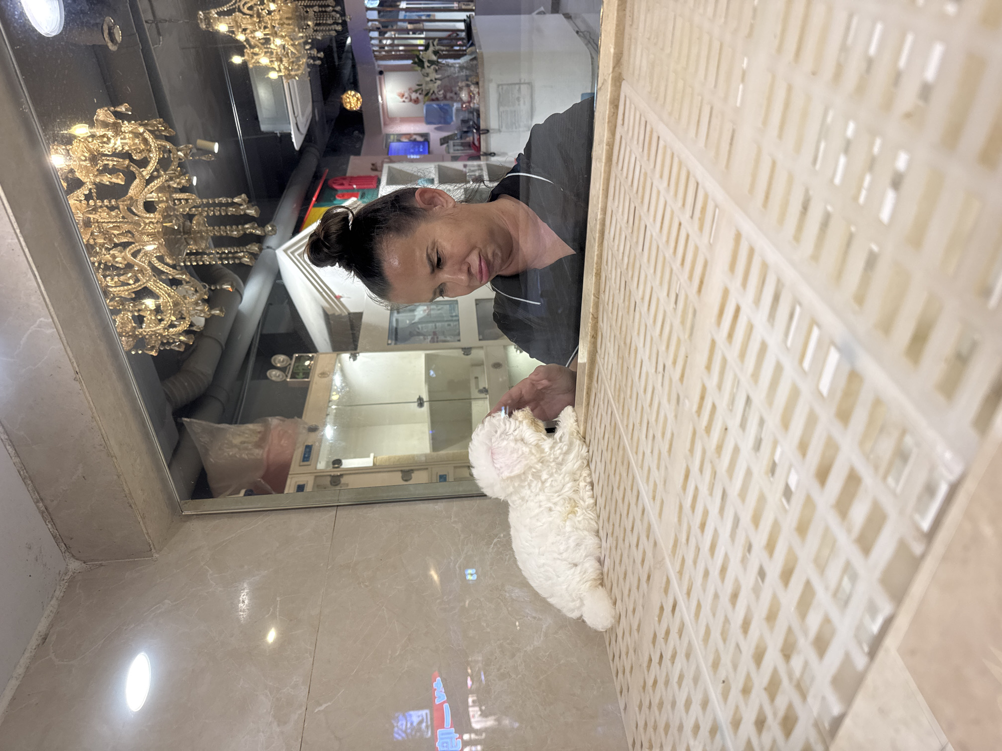 The image depicts a woman interacting with a small, white dog. The setting appears to be a shop, indicated by the reflection of chandeliers and other retail displays in the glass panel the woman is standing behind. The background features a retail setting with various merchandise displays. The flooring is marble. The woman is petting the dog, which is standing by a latticed, off-white structure. There is a reflection on the glass, which shows some signage in Chinese characters. This implies a location in China, specifically Tianhe District.