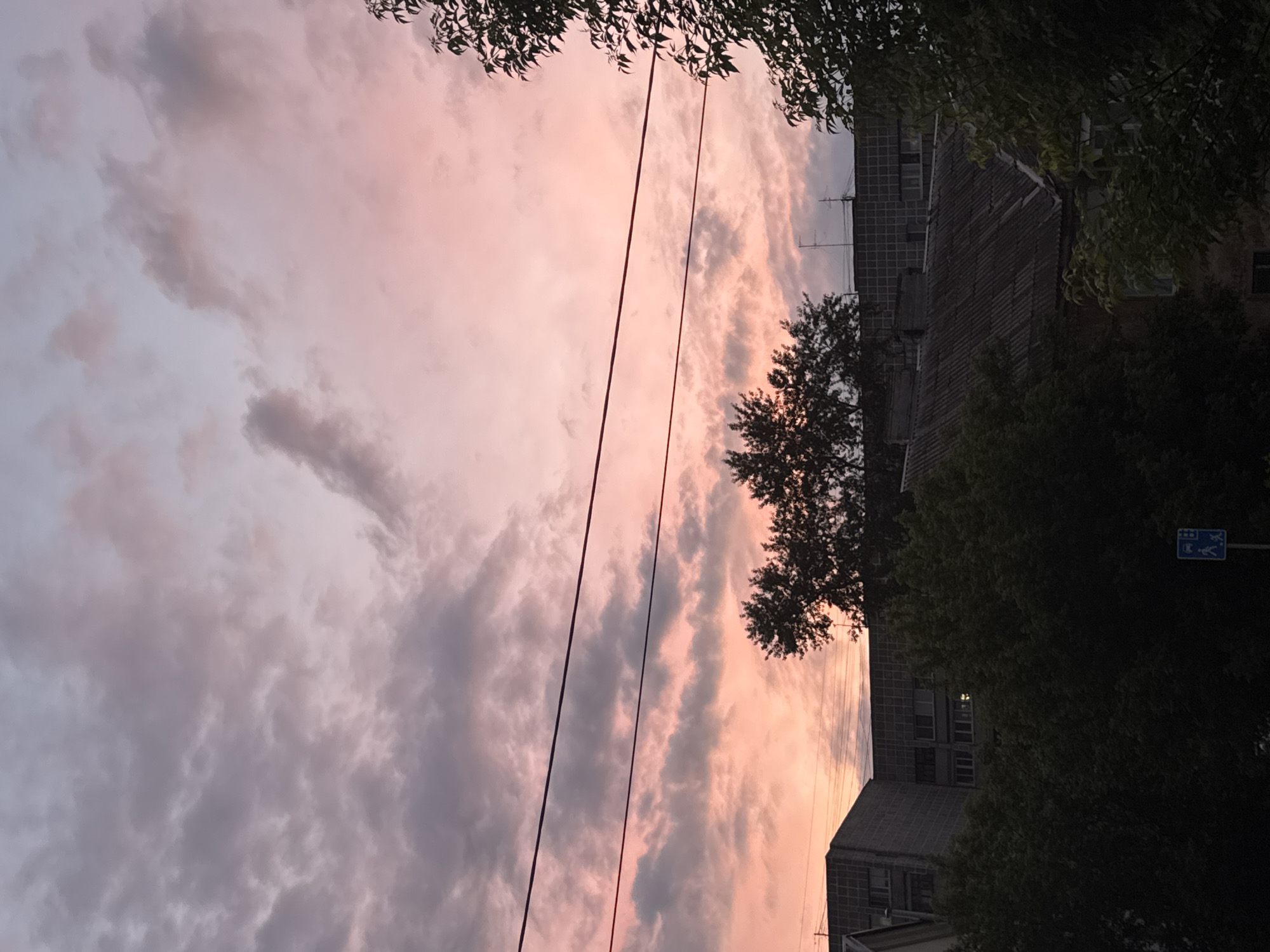 The image shows a view upwards towards a sky during dusk or dawn, likely in a residential area in Perm, Russia. The sky has a mix of grey and pink clouds. Silhouetted against the sky are two power lines running vertically. On the right side of the image are residential buildings, with the facade of a building showing an old brick, windows and some trees partially obscuring the view. The image has been rotated.