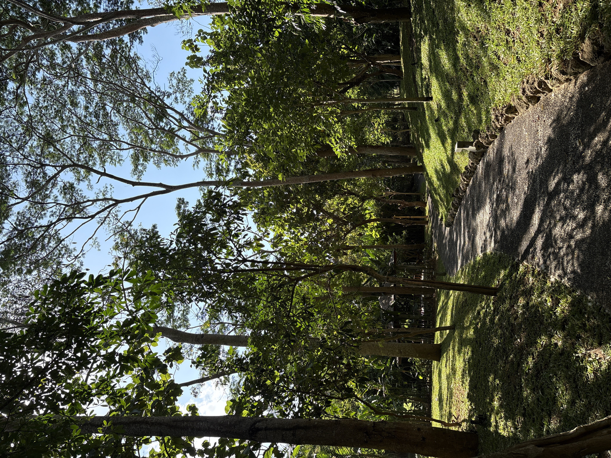 The image depicts a sun-dappled pathway through a lush, tropical garden environment, likely located in Kuta Selatan, Indonesia. The pathway, composed of dark gravel, winds gently to the right, bordered by a neatly arranged stone wall and vibrant green grass. Tall, mature trees with dense canopies dominate the scene, their leaves casting intricate shadows on the ground and path. The sunlight filters through the foliage, creating a serene and inviting atmosphere. In the background, hints of rustic structures, possibly gazebos or open-air pavilions, can be seen nestled amongst the trees, suggesting a recreational or resort setting. The sky is a clear, bright blue, with a few wispy clouds. No people are visible in the image. The overall impression is one of tranquility and natural beauty within a well-maintained landscape.