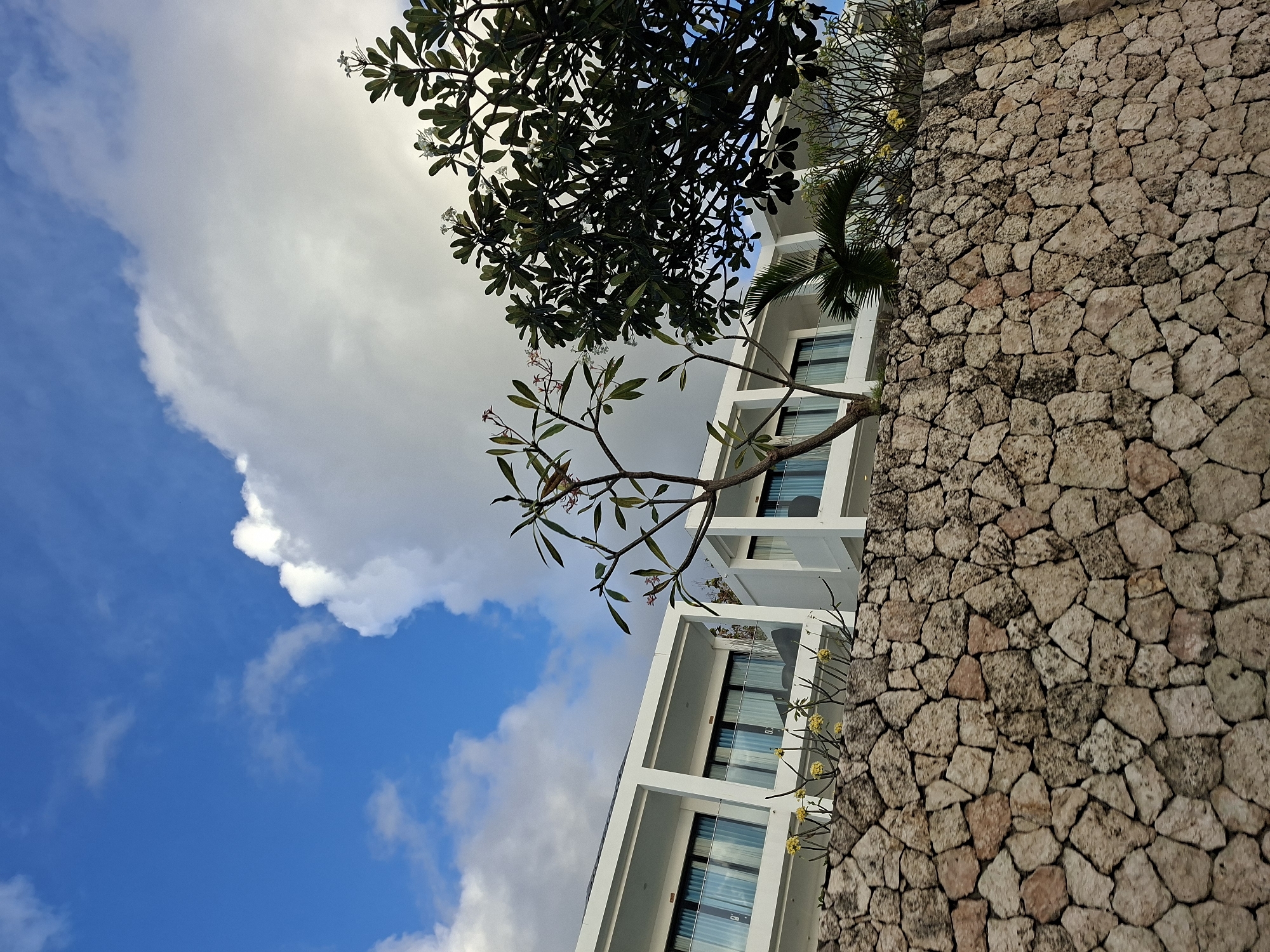 The image shows a modern white building with balconies and glass windows, seen from behind a rough stone wall. A tree with green leaves and white flowers stands in front of the building, partially obscuring it. The sky above is blue with some white clouds. This scene is consistent with the architecture and tropical vegetation found in Nusa Penida, Indonesia.
