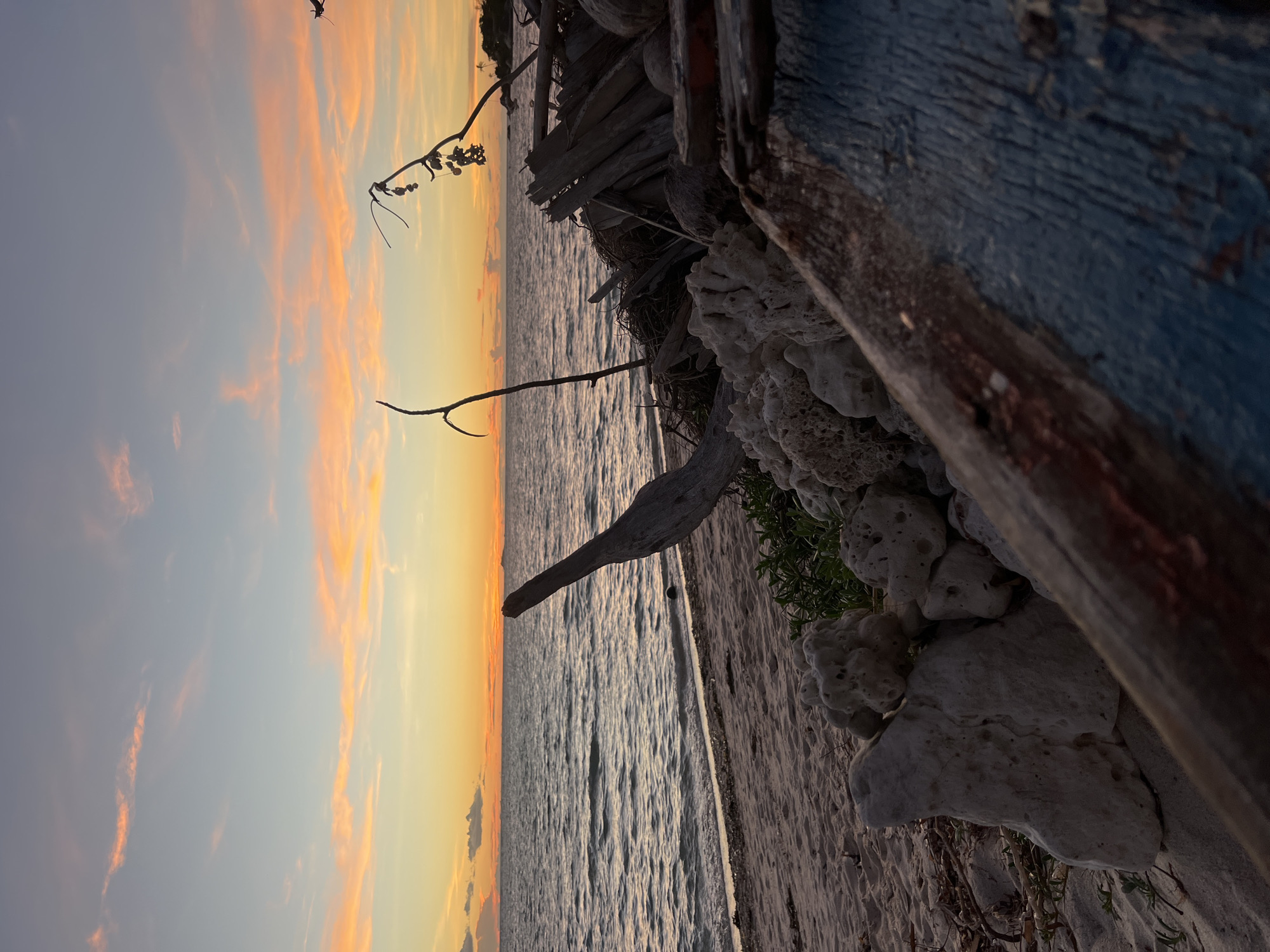 The image depicts a serene sunset scene on a beach in Koh Phangan, Thailand. The sky is a gradient of soft orange, yellow, and pink hues, with wispy clouds scattered across. The calm ocean stretches to the horizon, reflecting the warm colors of the sunset. In the foreground, a sandy beach is littered with various natural elements. A large piece of weathered driftwood stands prominently on the right side of the frame, pointing towards the sea. Scattered around are pieces of coral and smaller rocks, adding texture to the scene. Further back on the beach, a collection of other debris, including what appears to be pieces of wood, is piled up. The vegetation on the beach is sparse, with some small green plants growing near the rocks. The overall atmosphere is tranquil and picturesque, capturing the beauty of a tropical sunset. There are no people or animals visible in the image.