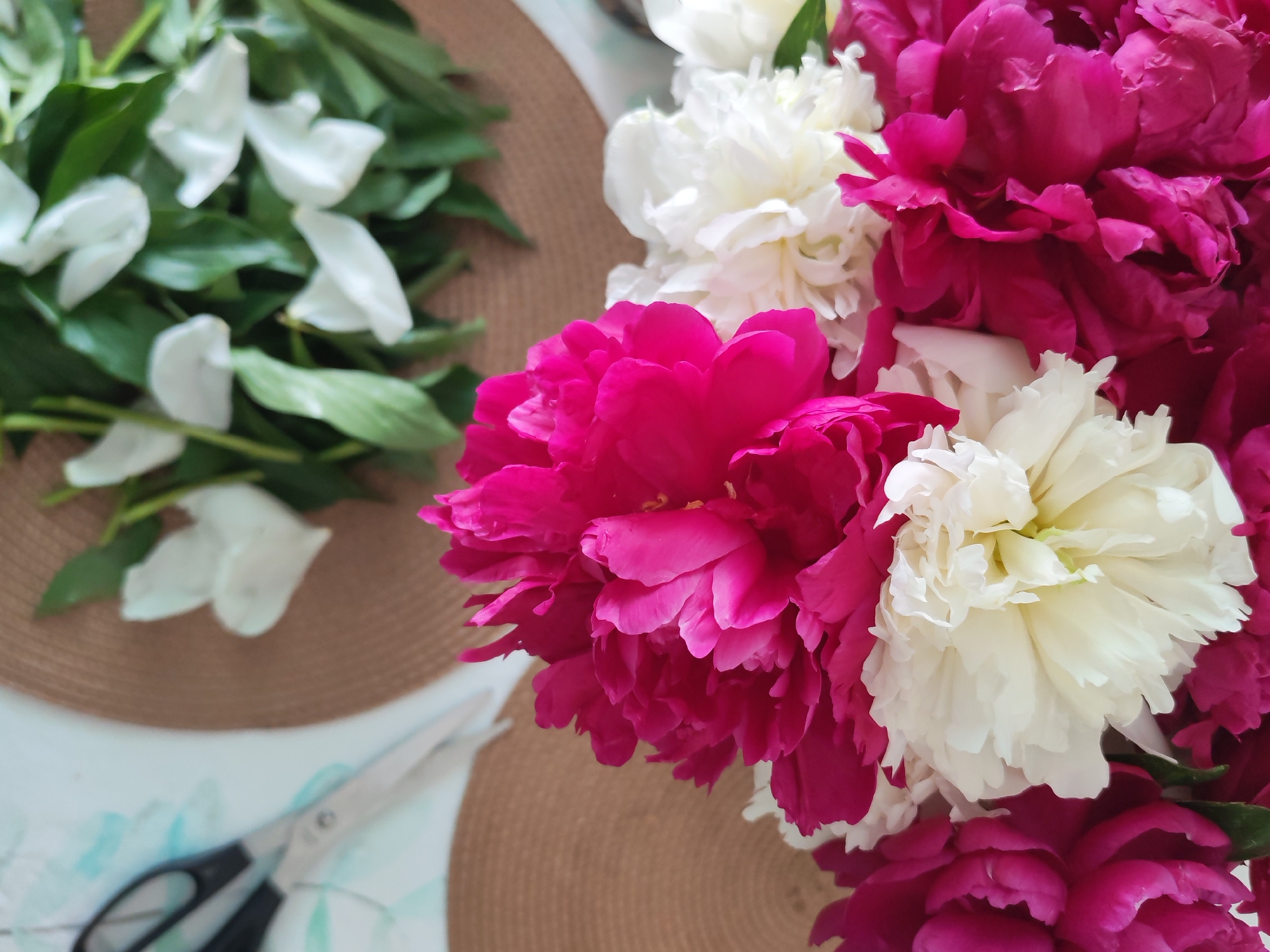 The image shows a close-up of a bouquet of peonies. The flowers are a mix of deep pink and white. In the background, to the left of the bouquet, are several white peony petals scattered amongst green leaves. A pair of scissors with black handles and silver blades rests on a light-colored surface with a faint green floral pattern. The background also features a woven mat, likely a placemat, underneath the bouquet. The scene appears to be indoors, on a table, with natural light illuminating the flowers. The image does not contain any recognizable landmarks or elements that would allow for pinpointing a specific location within the city of Izhevsk, Russia.