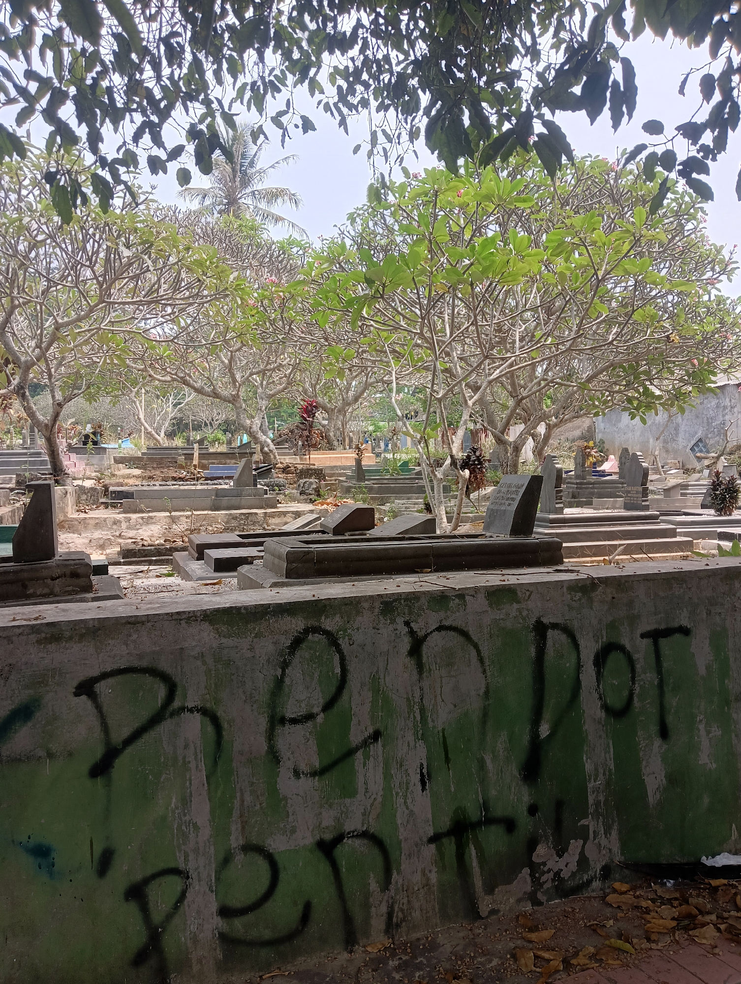 A cemetery in Ciporang, Indonesia, is pictured with numerous tombstones arranged in rows. The tombstones vary in size and material, with some appearing older and weathered. Lush green trees with bare branches and some leaves provide shade over the cemetery. In the foreground, a concrete wall is covered with graffiti, with black spray paint forming letters and shapes. The ground is a mix of dirt, scattered leaves, and some visible pathways. The sky above is overcast, suggesting a bright but possibly humid day. The scene appears to be a typical outdoor cemetery environment.