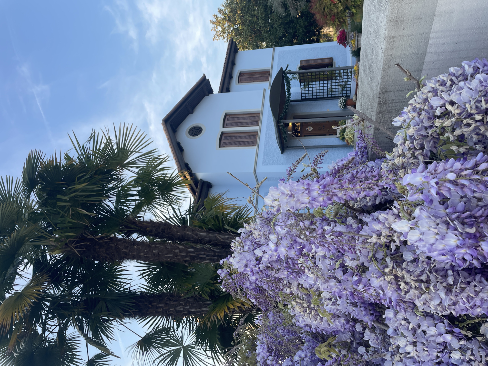 The image shows a two-story building in Case / Scjasis, Italy. The building is light blue with brown shutters and a brown roof. A palm tree stands to the left, and a large wisteria bush with purple flowers is in the foreground. A concrete wall is to the right of the building. The sky is blue with some clouds.