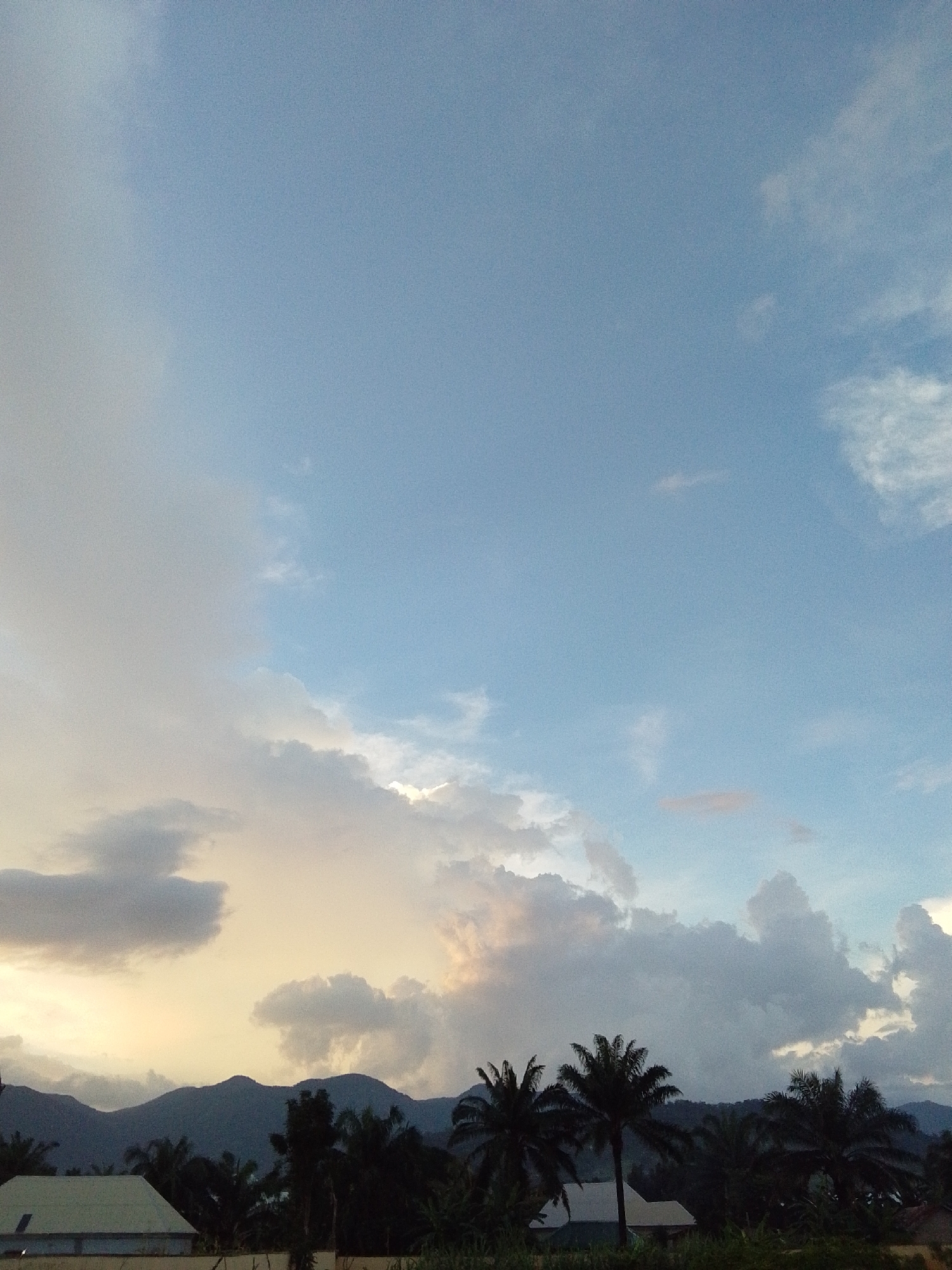 A wide shot captures a serene landscape in Serti, Nigeria, with a vast, light blue sky dominating the upper portion of the frame. Wispy, light gray clouds drift across the sky, with some darker, heavier formations present closer to the horizon. A faint yellow and pink hue is visible in the clouds, suggesting either dawn or dusk.
Below the sky, a range of dark, silhouetted mountains forms the backdrop. In the foreground, several palm trees stand tall, their fronds creating a textured silhouette against the lighter sky and mountains. To the left, a portion of a light green, rectangular building with a sloped roof is visible. The building appears to be a house or a small structure. The overall scene is one of natural tranquility, with hints of human habitation.